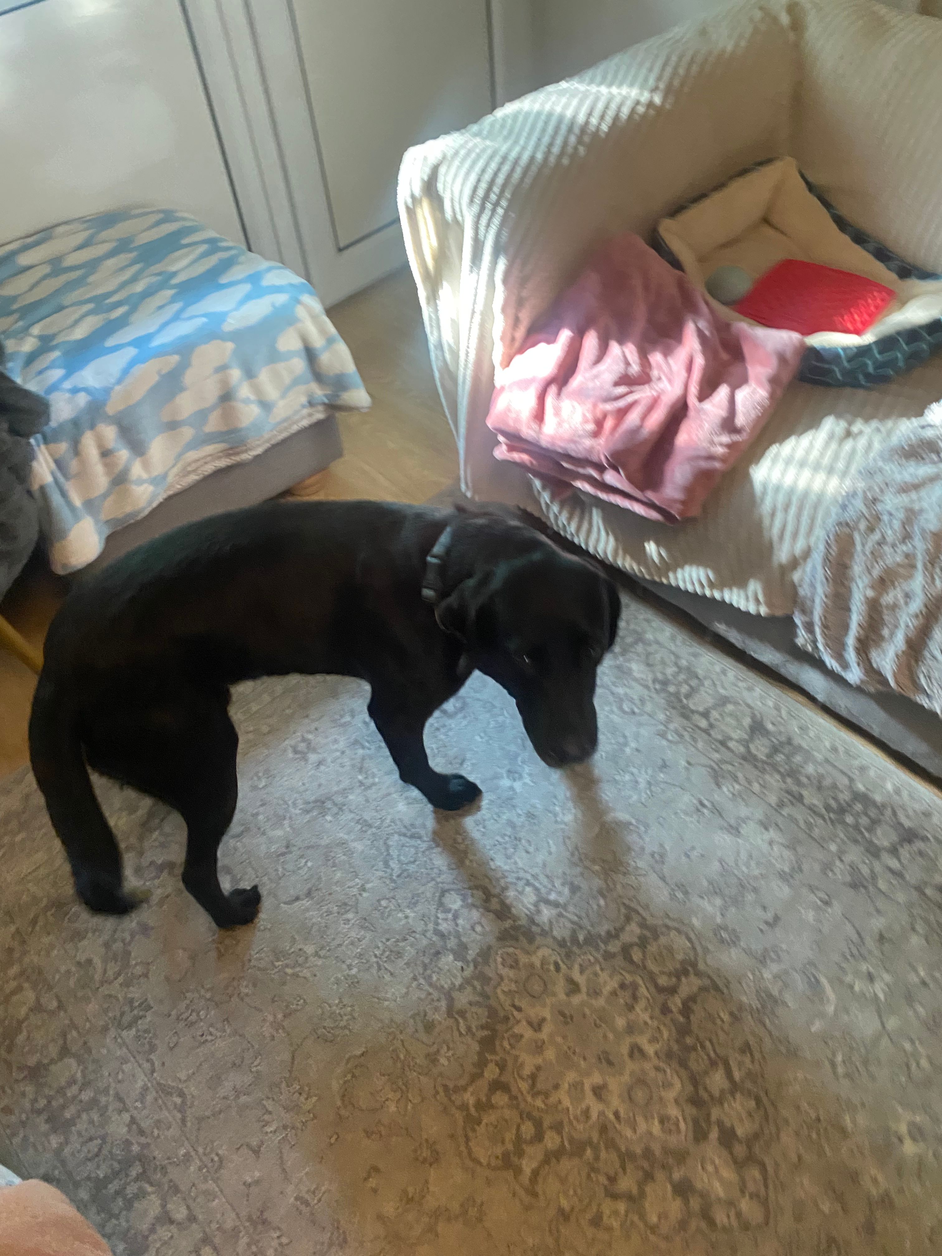 image-19