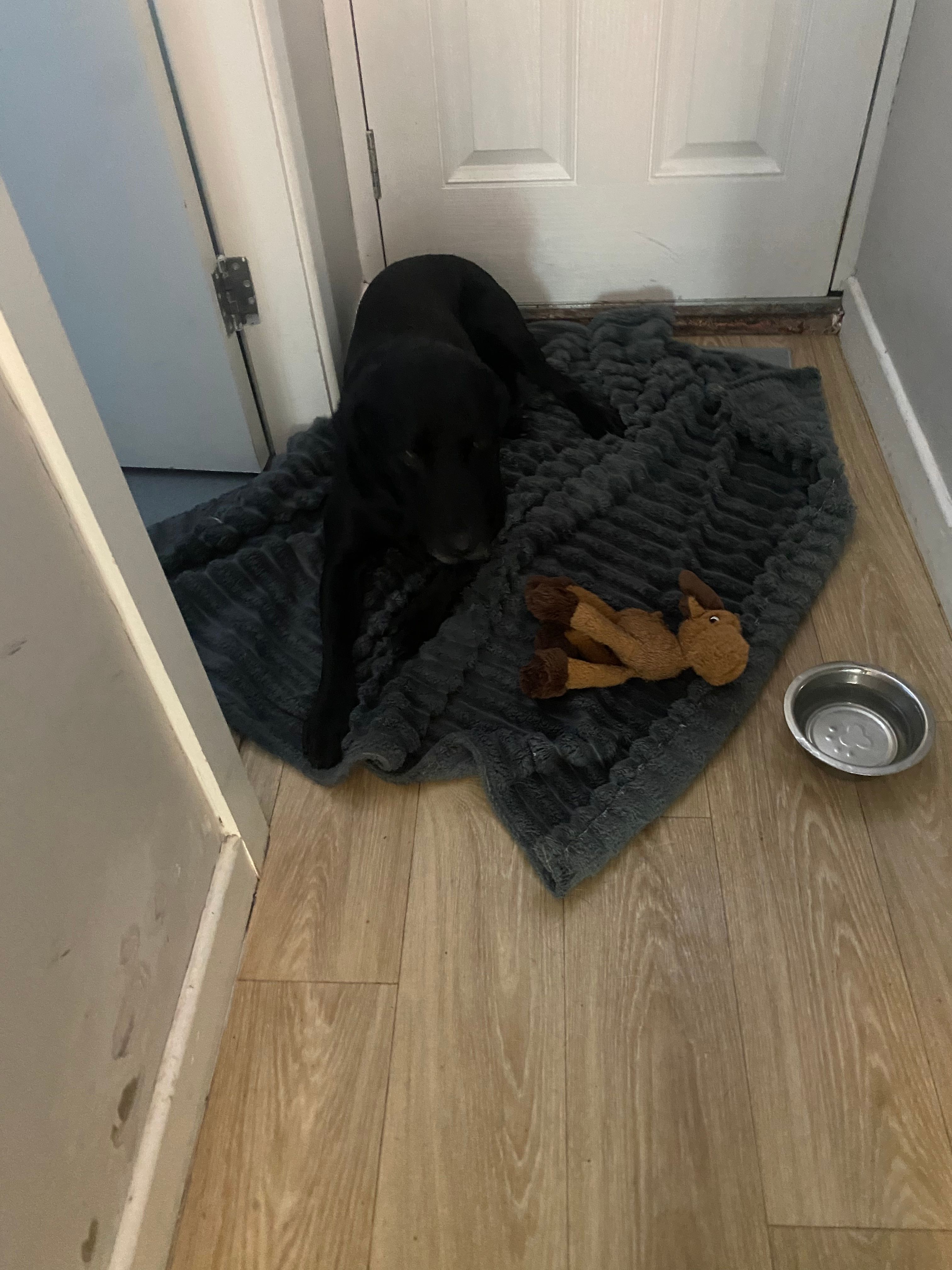 image-18