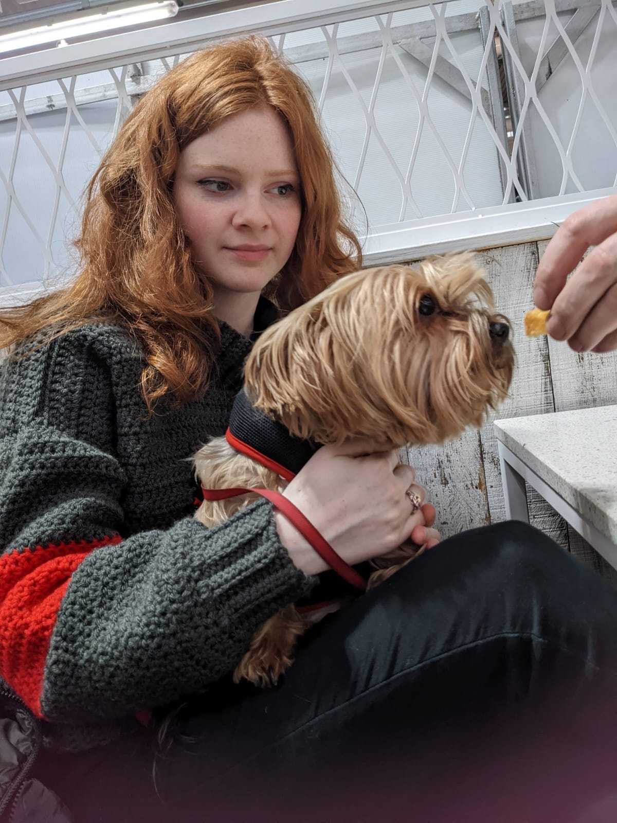 image-9