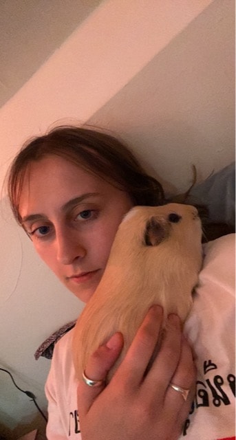 image-7