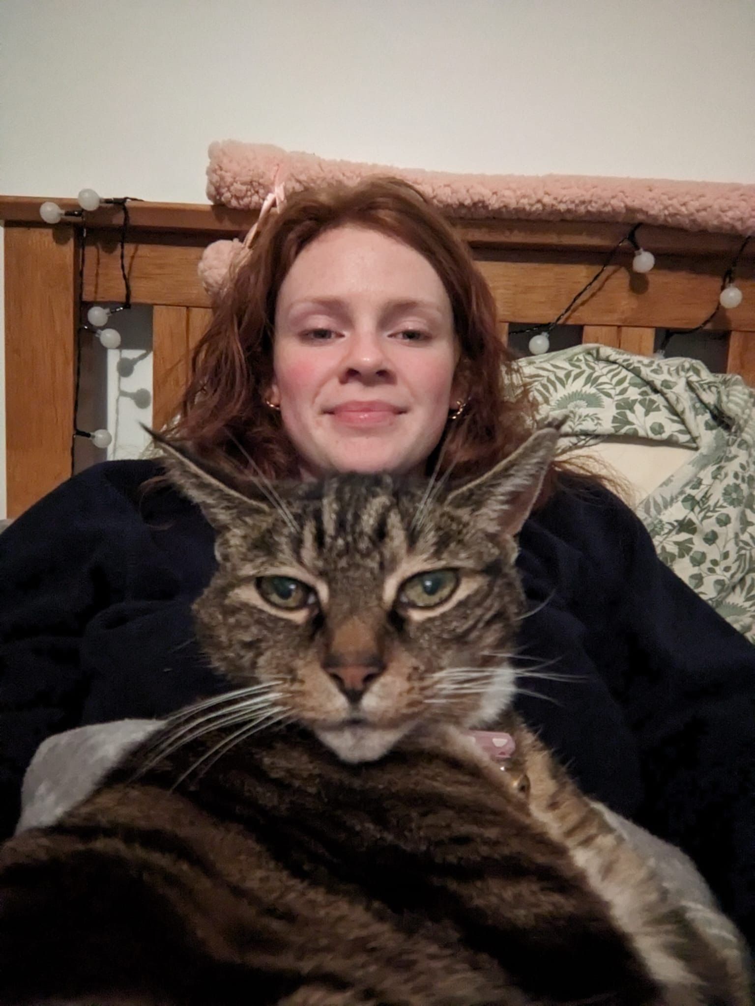 image-6