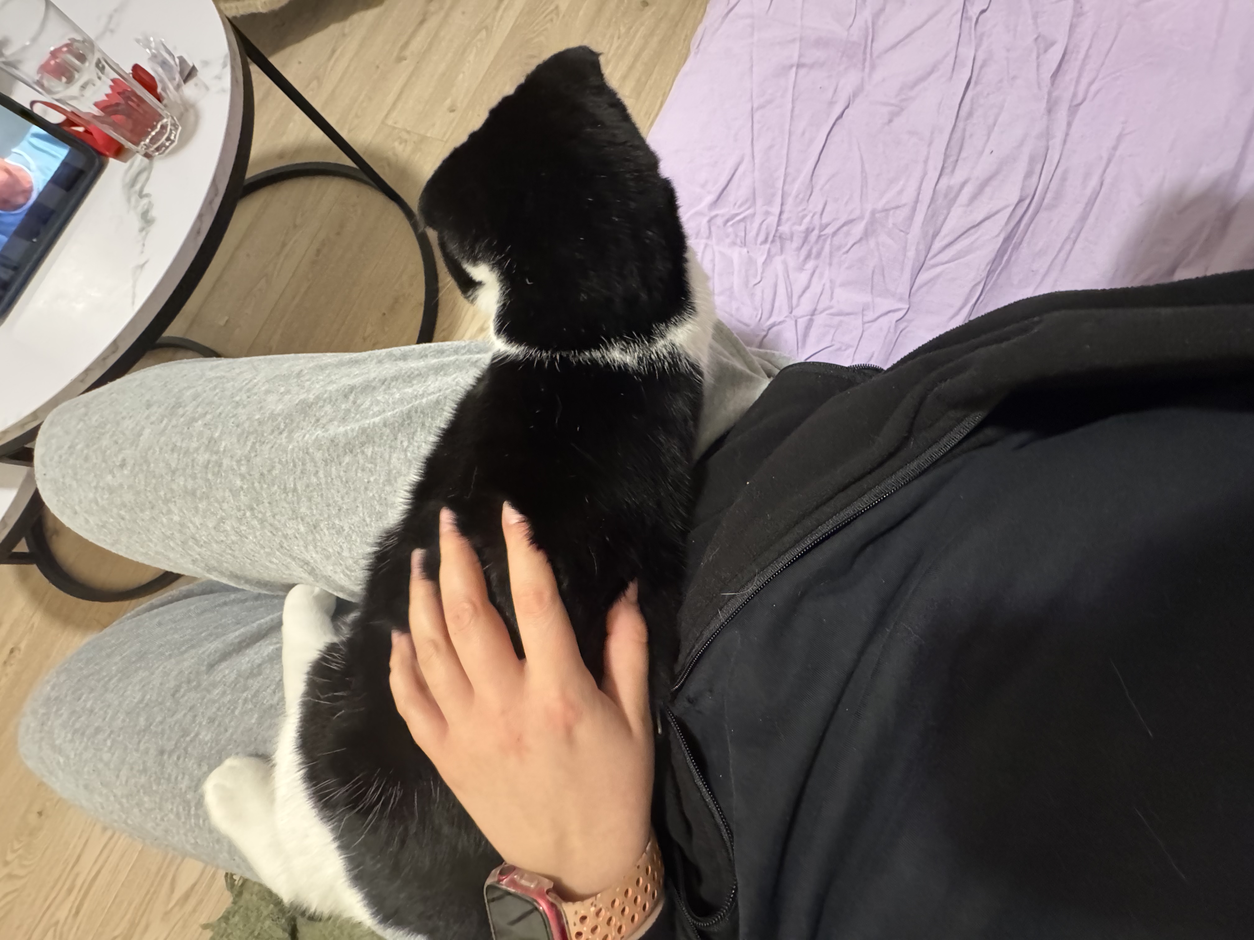 image-5