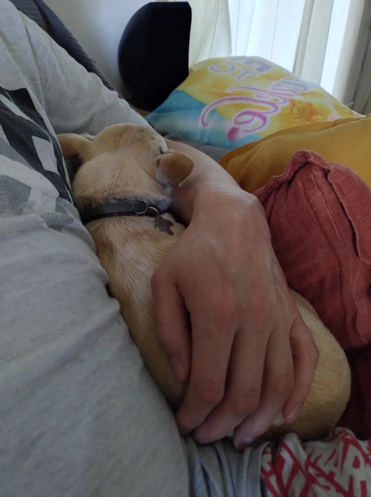 image-5
