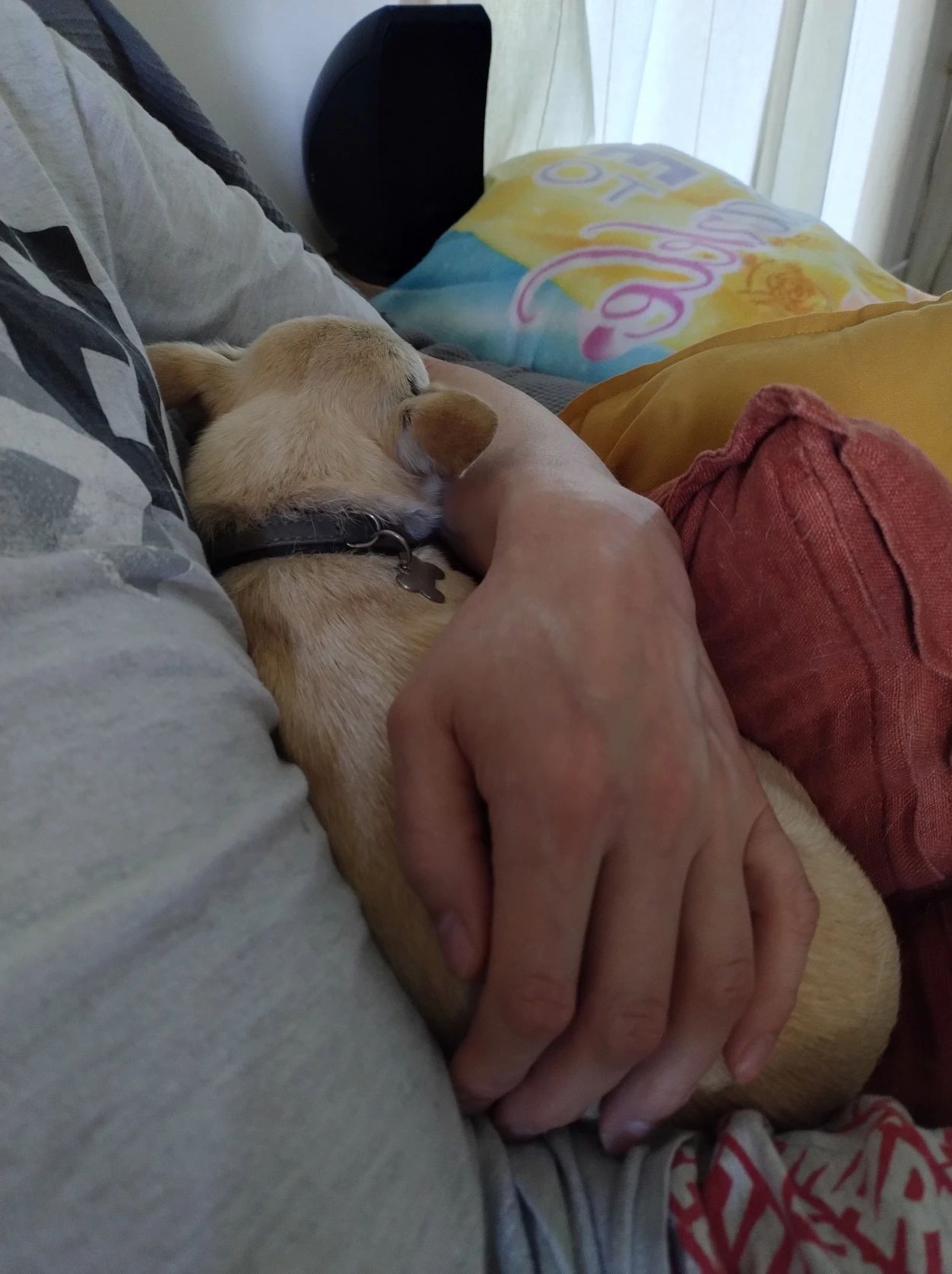 image-5