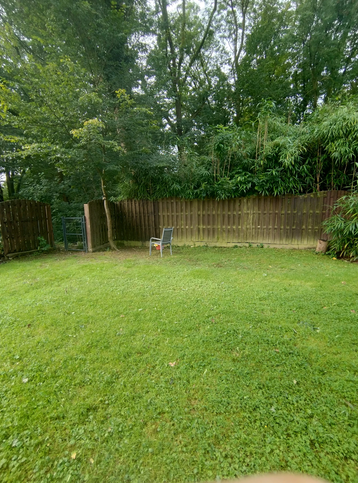 image-14