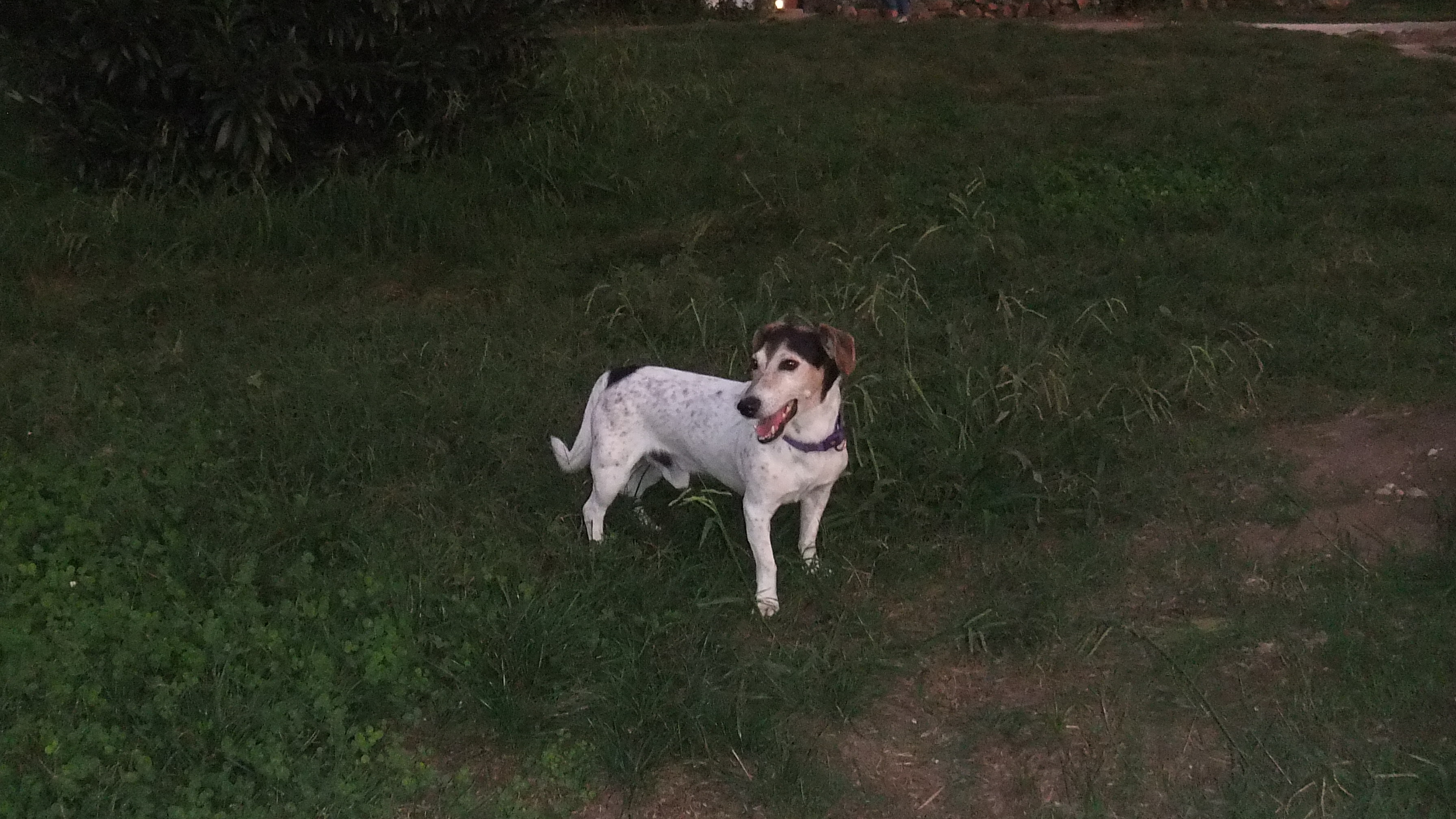 image-7