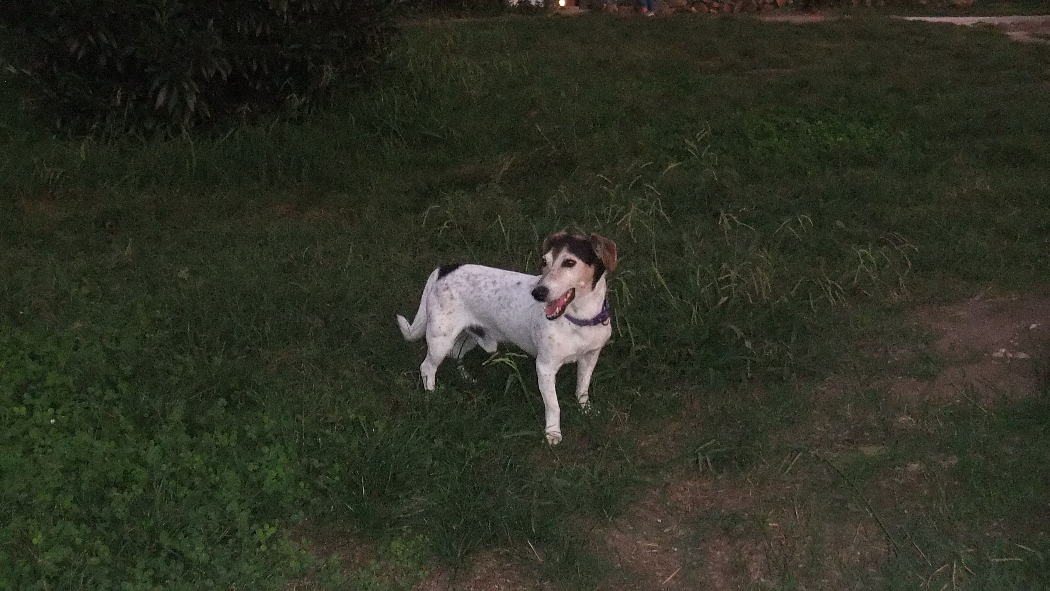 image-7