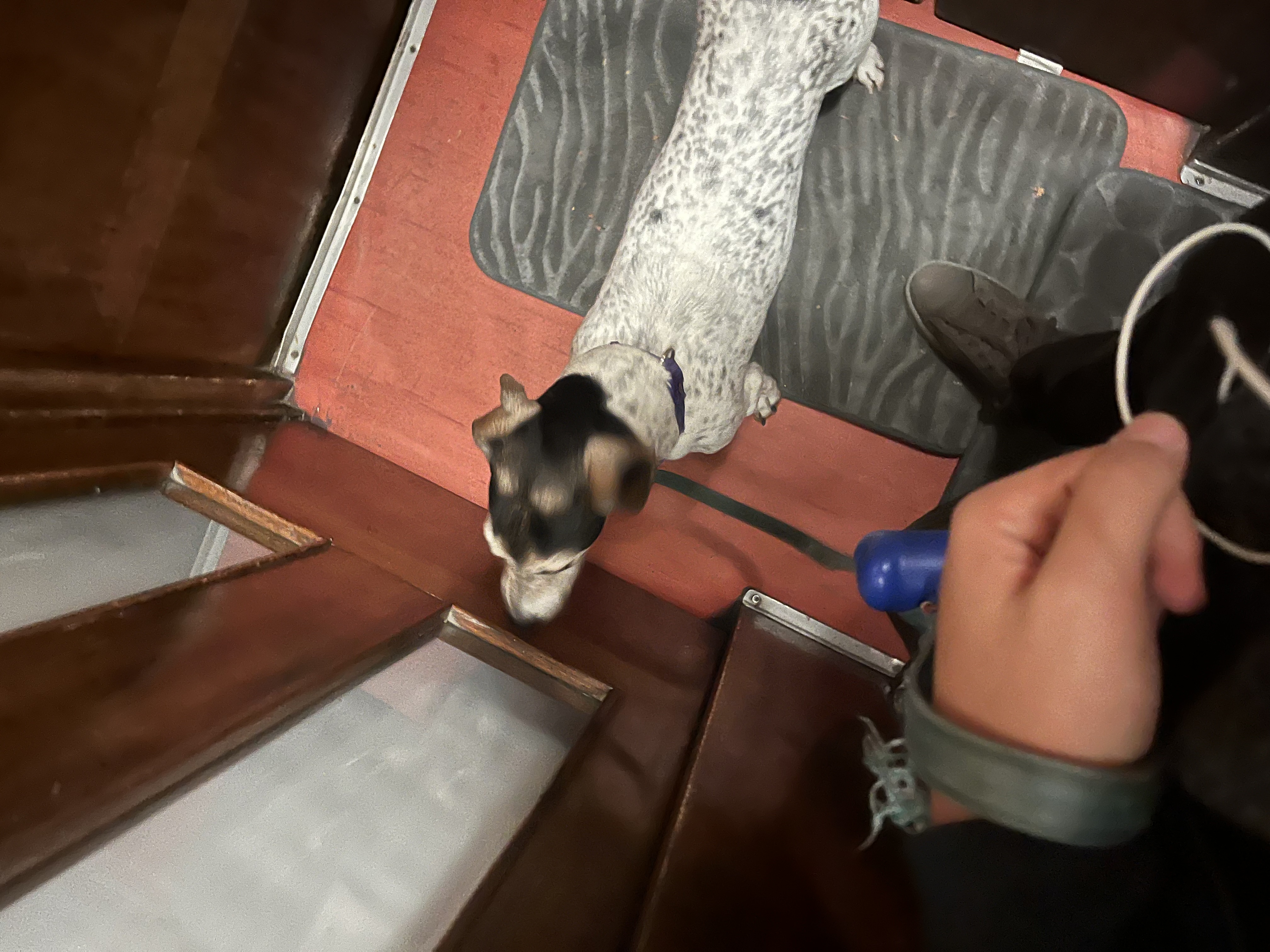 image-8