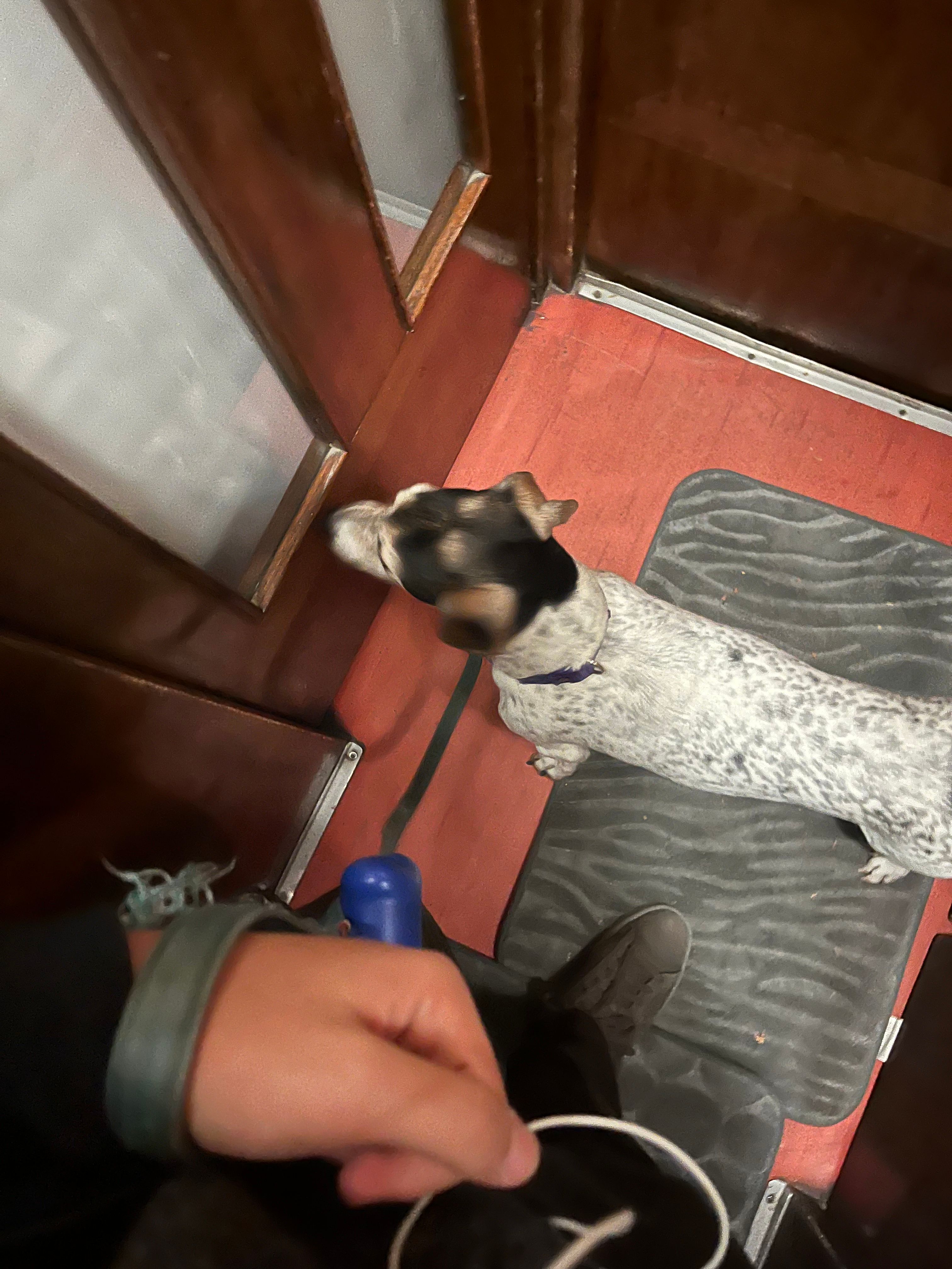 image-8