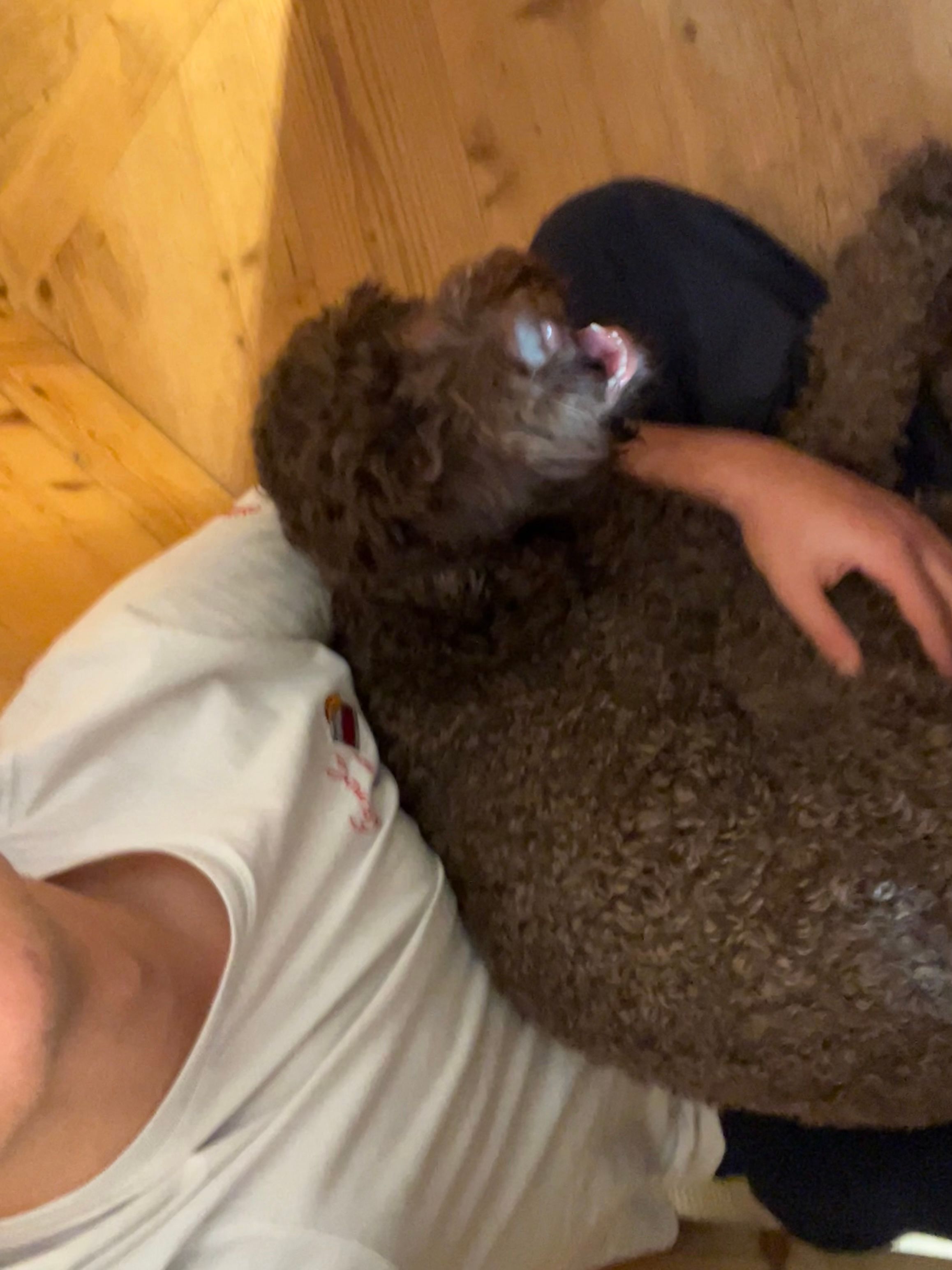 image-6