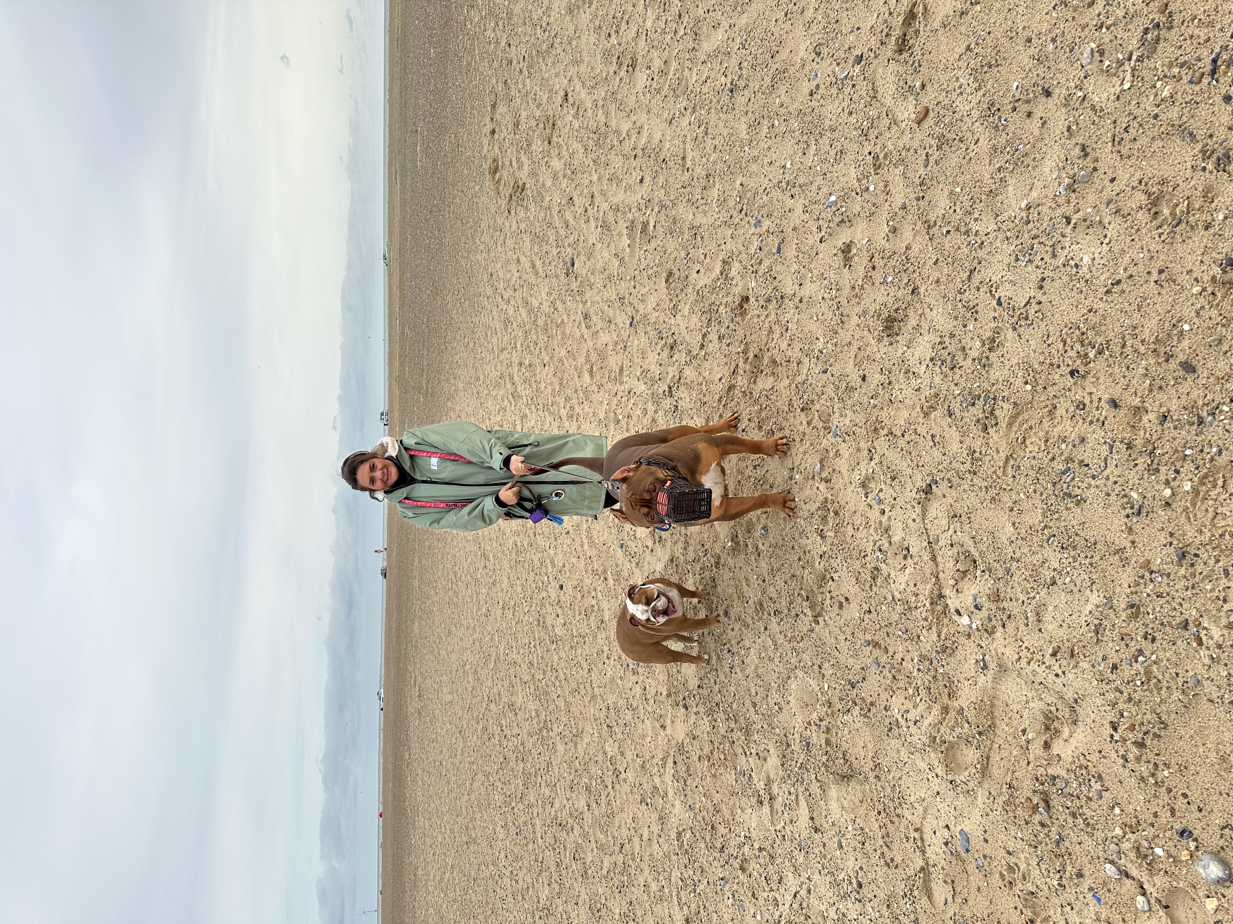 image-16