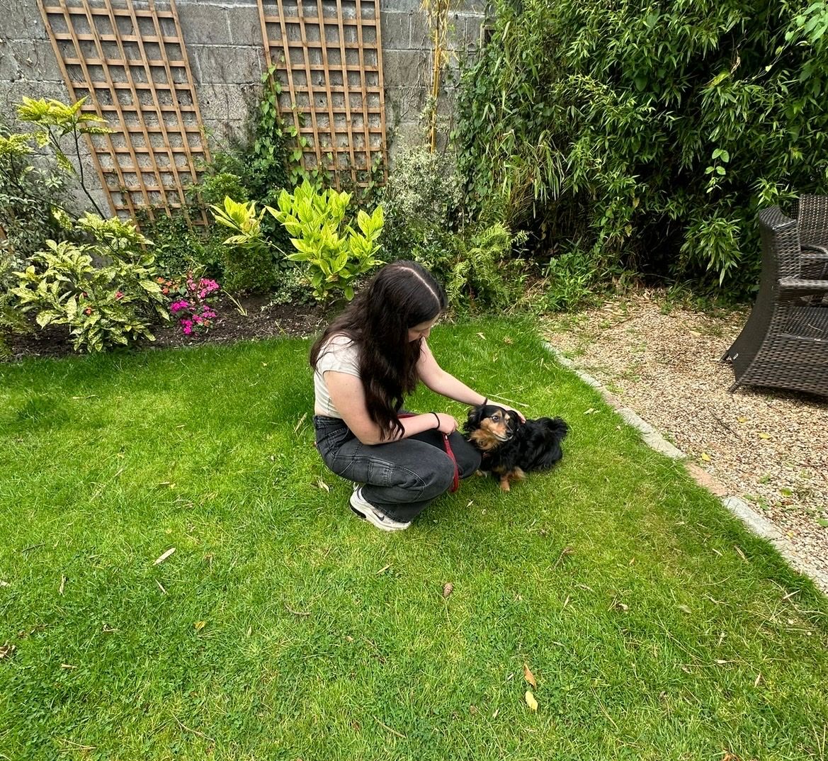 image-7