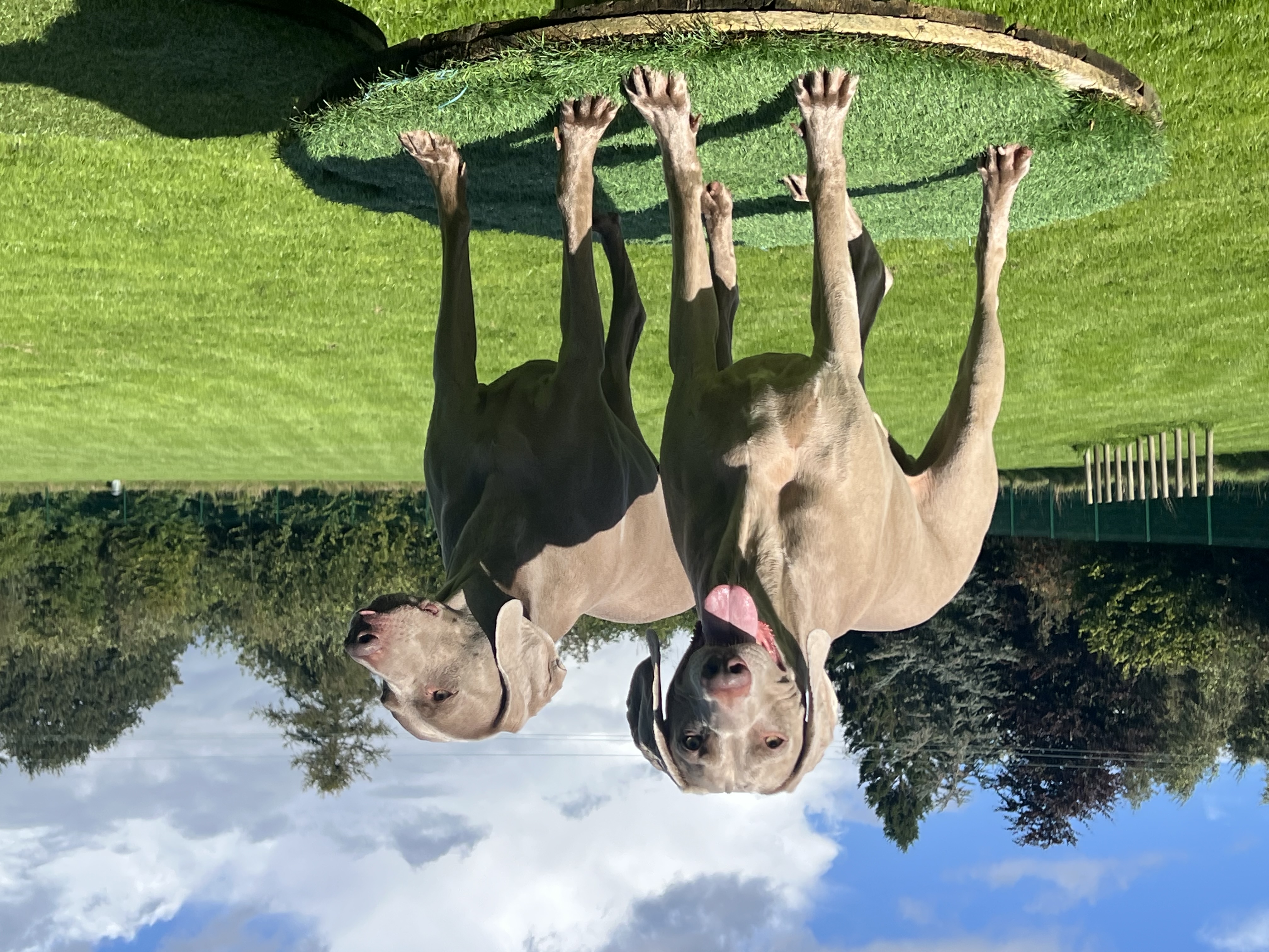 image-17