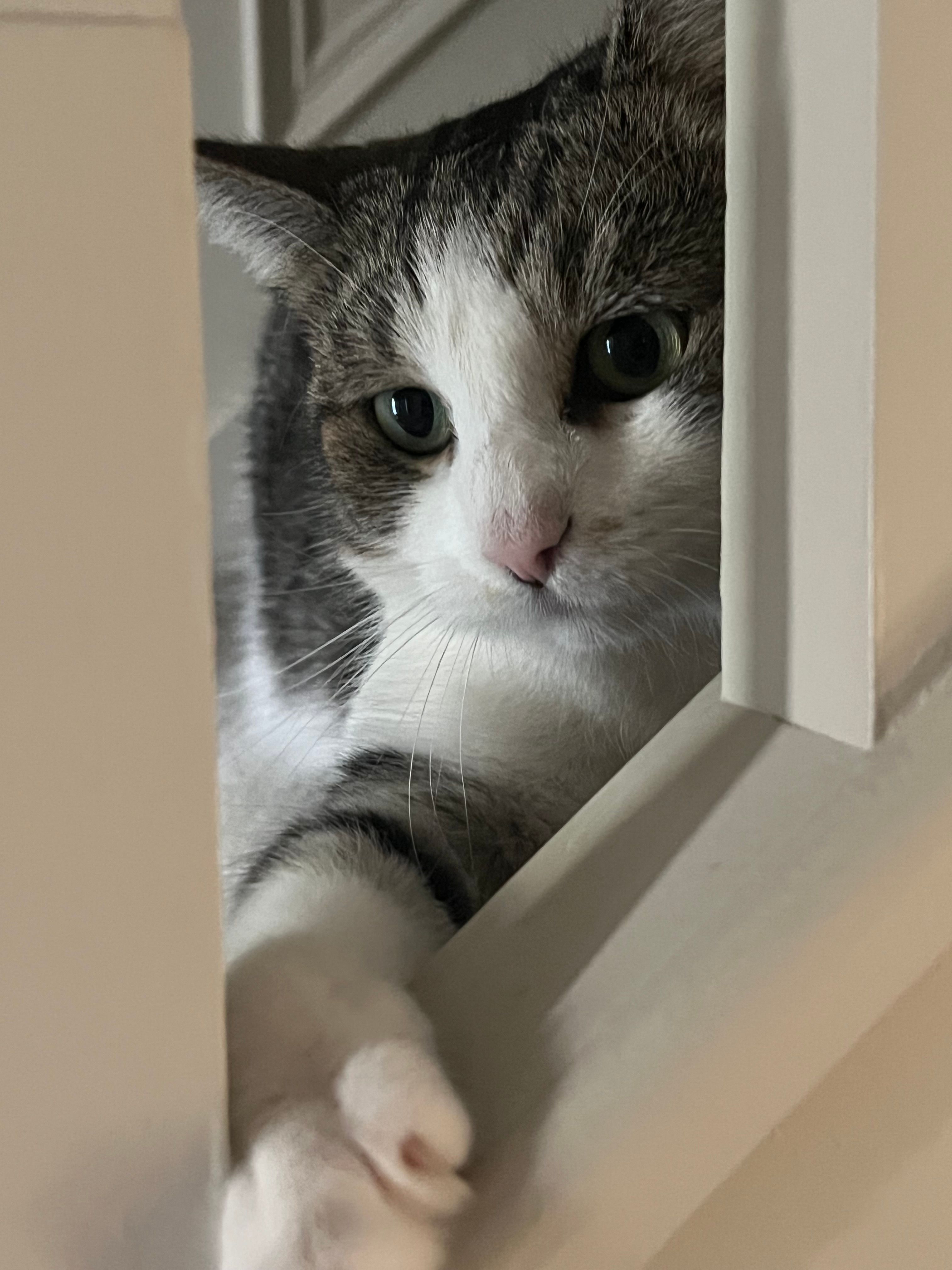image-5