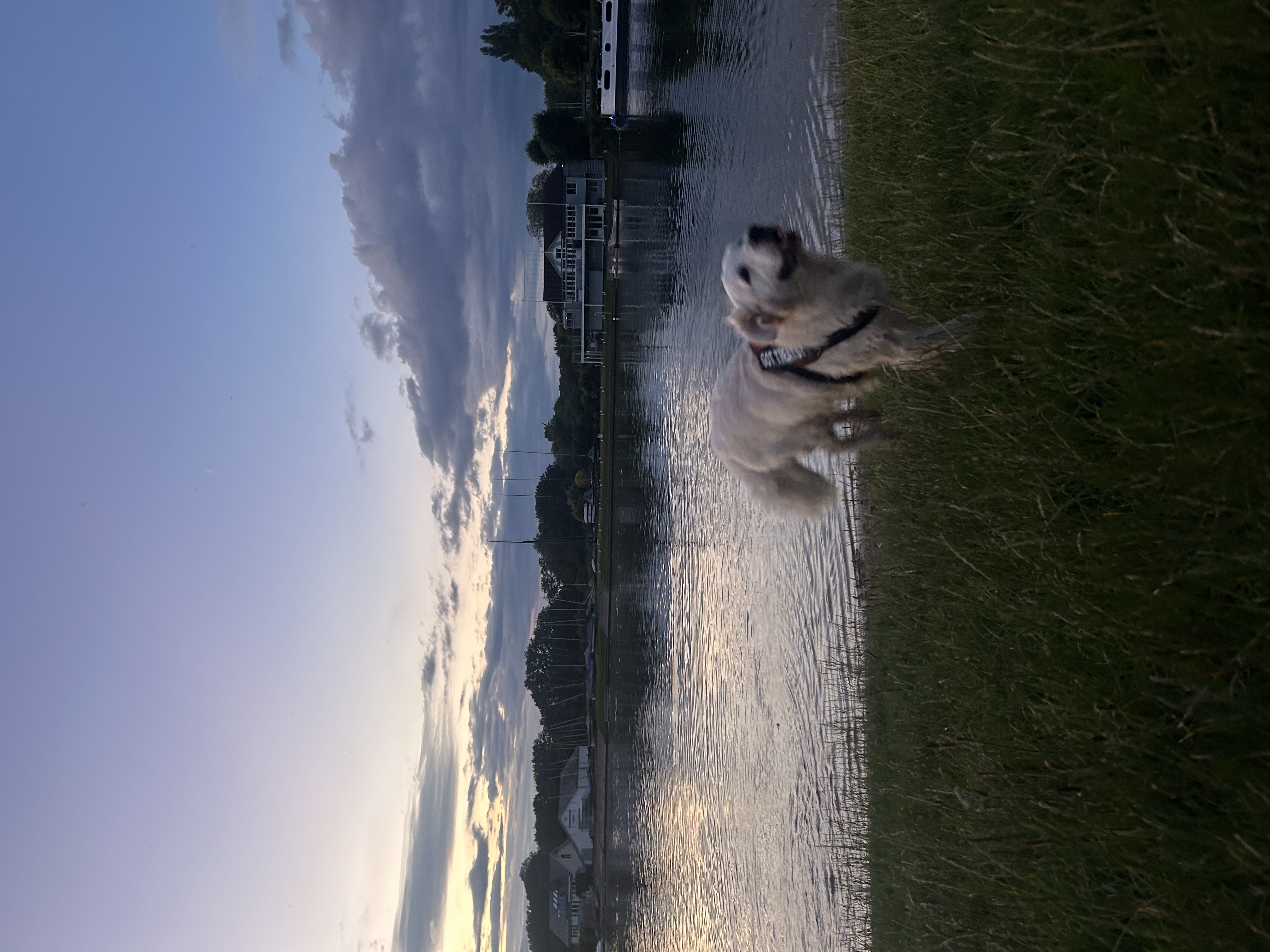 image-14