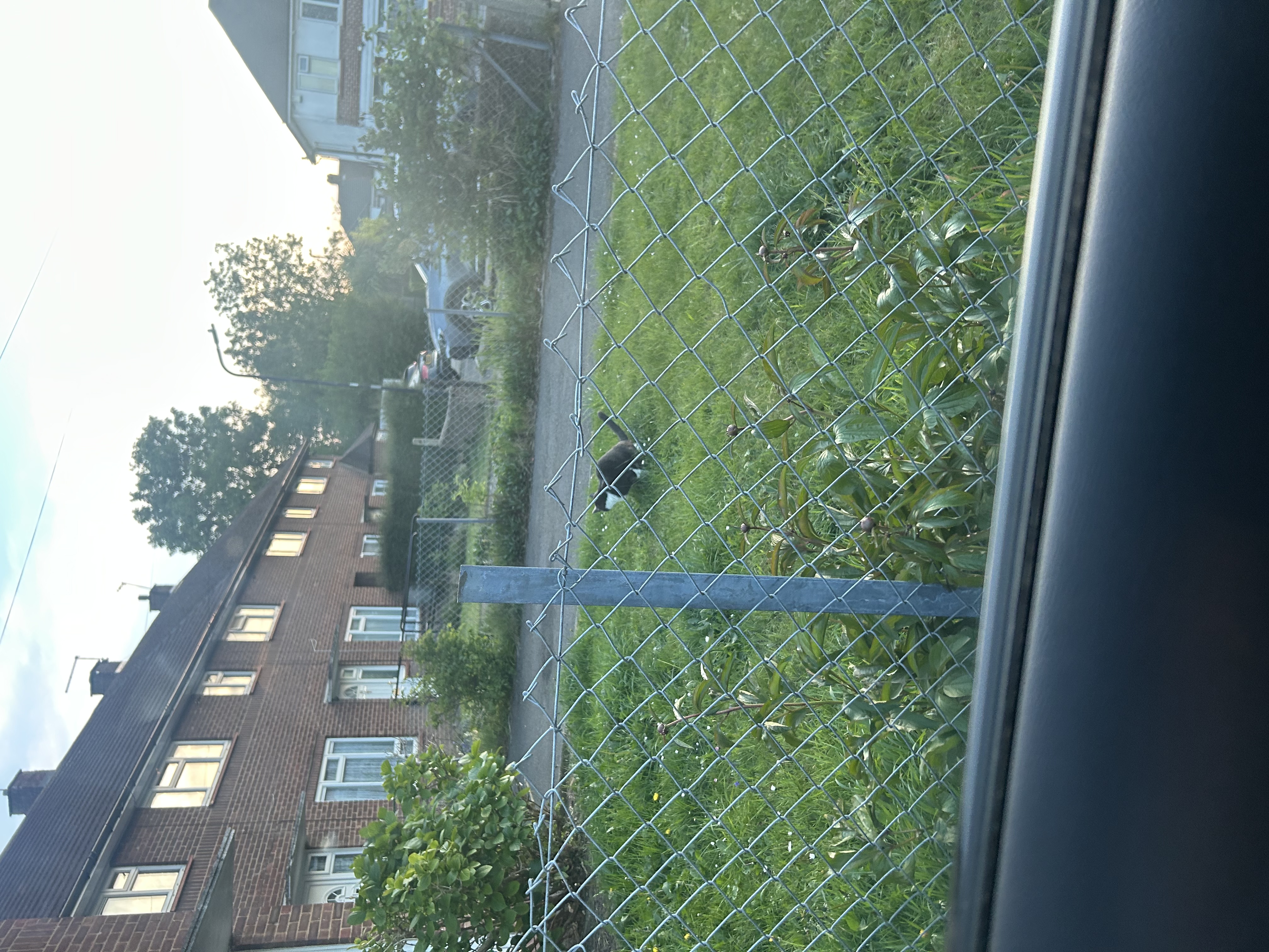 image-10