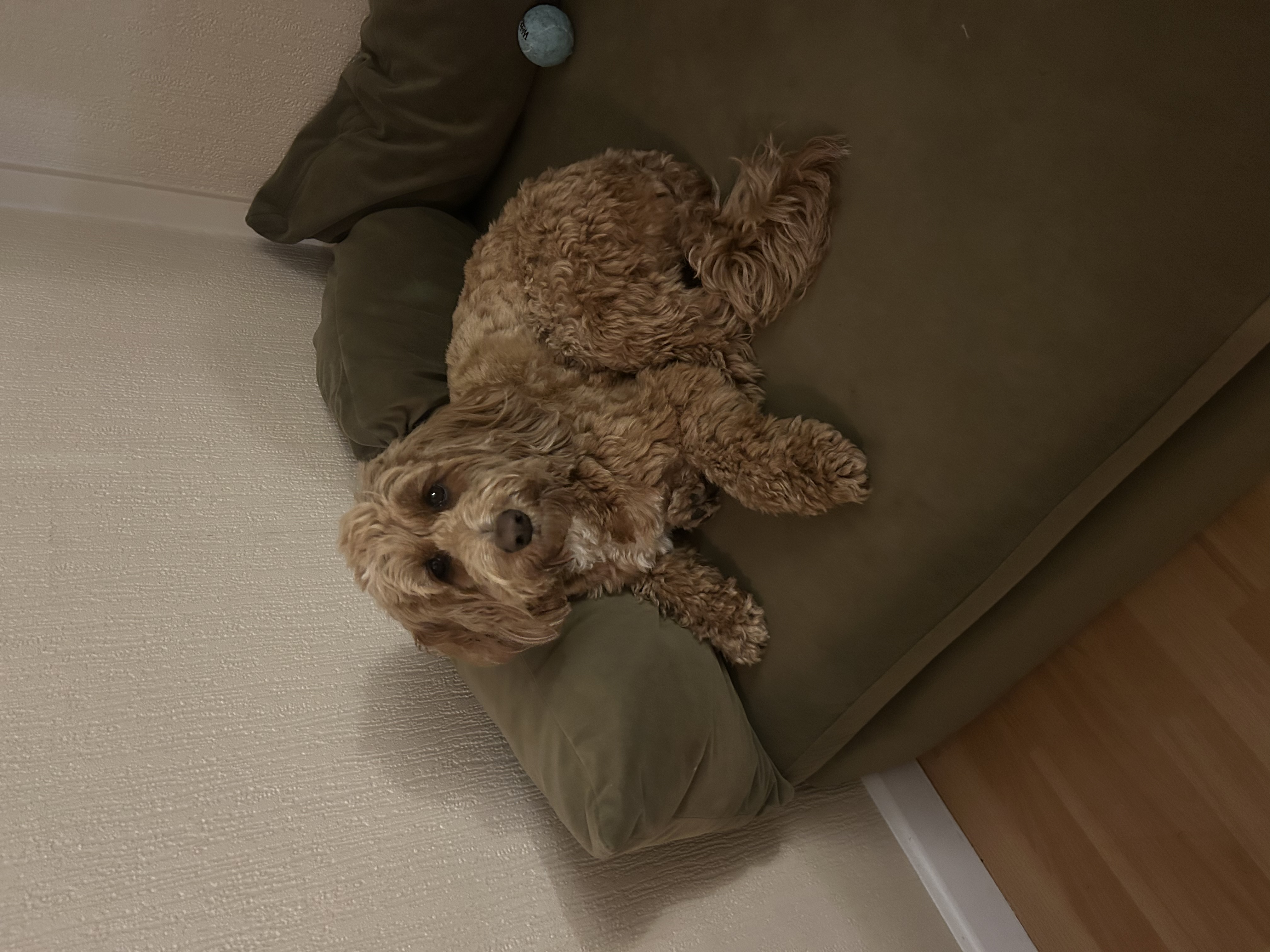 image-10