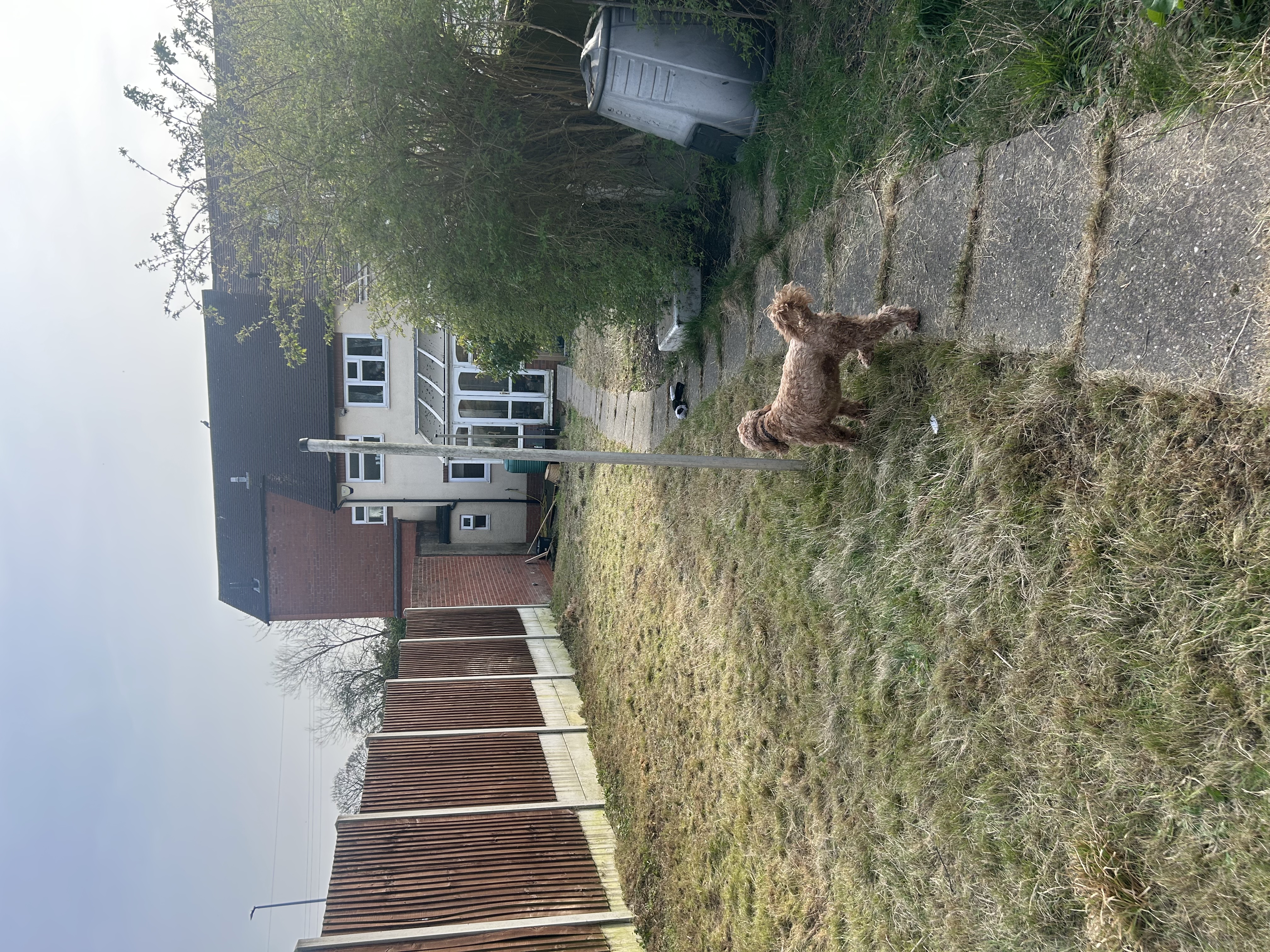 image-16
