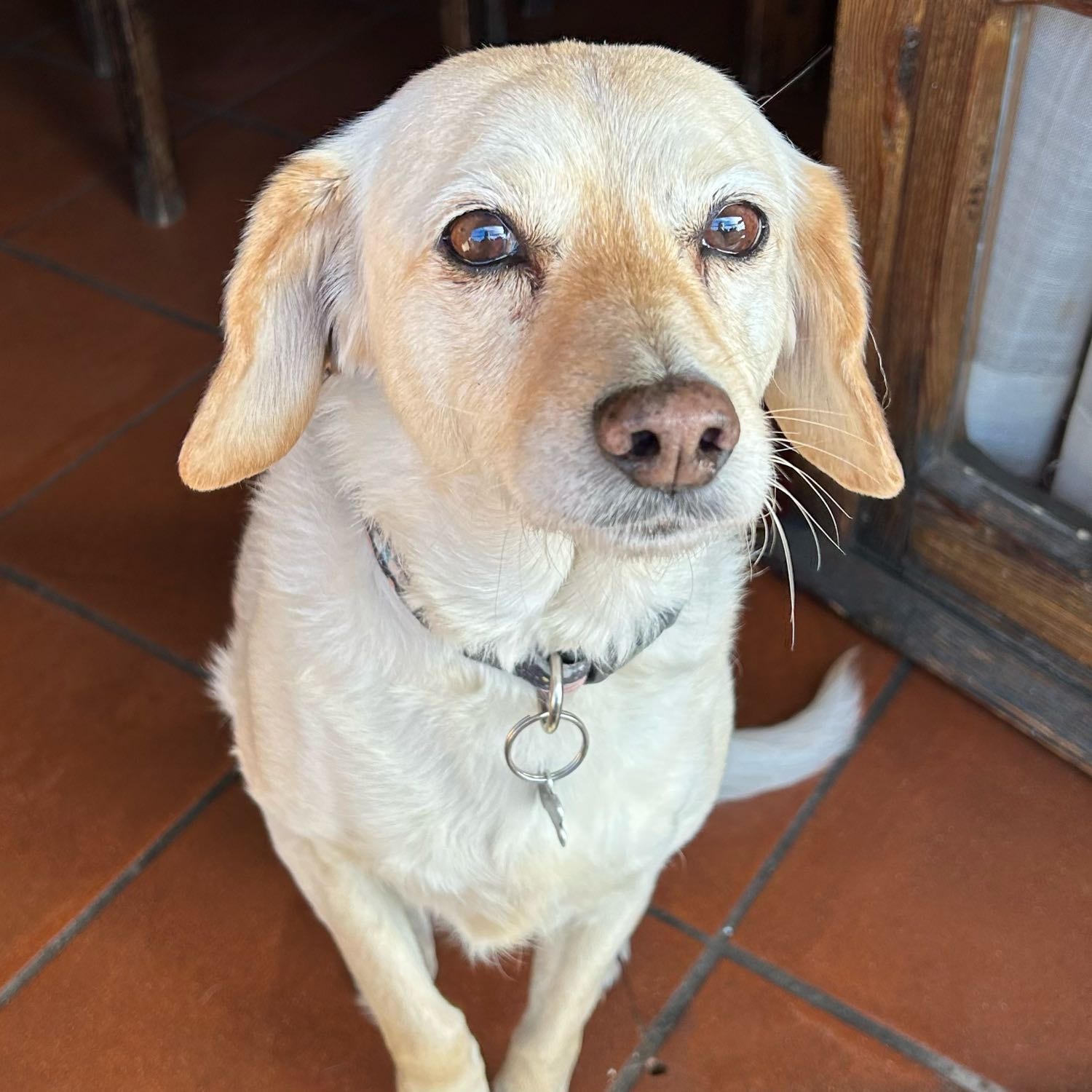 Zoe