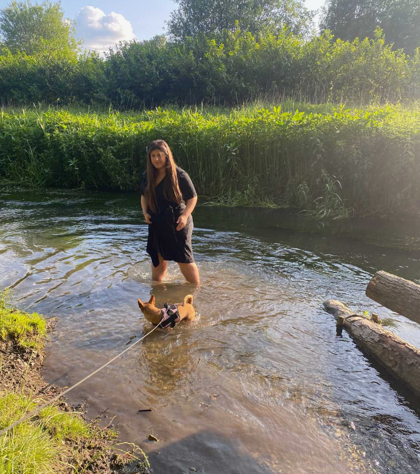 image-4