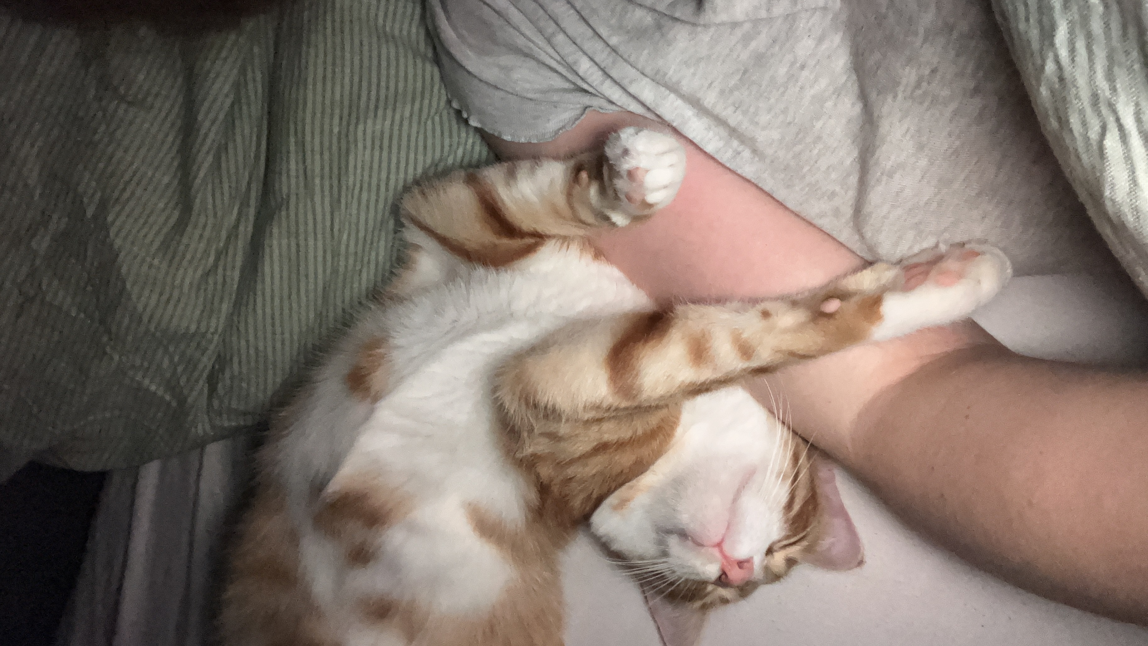 image-7