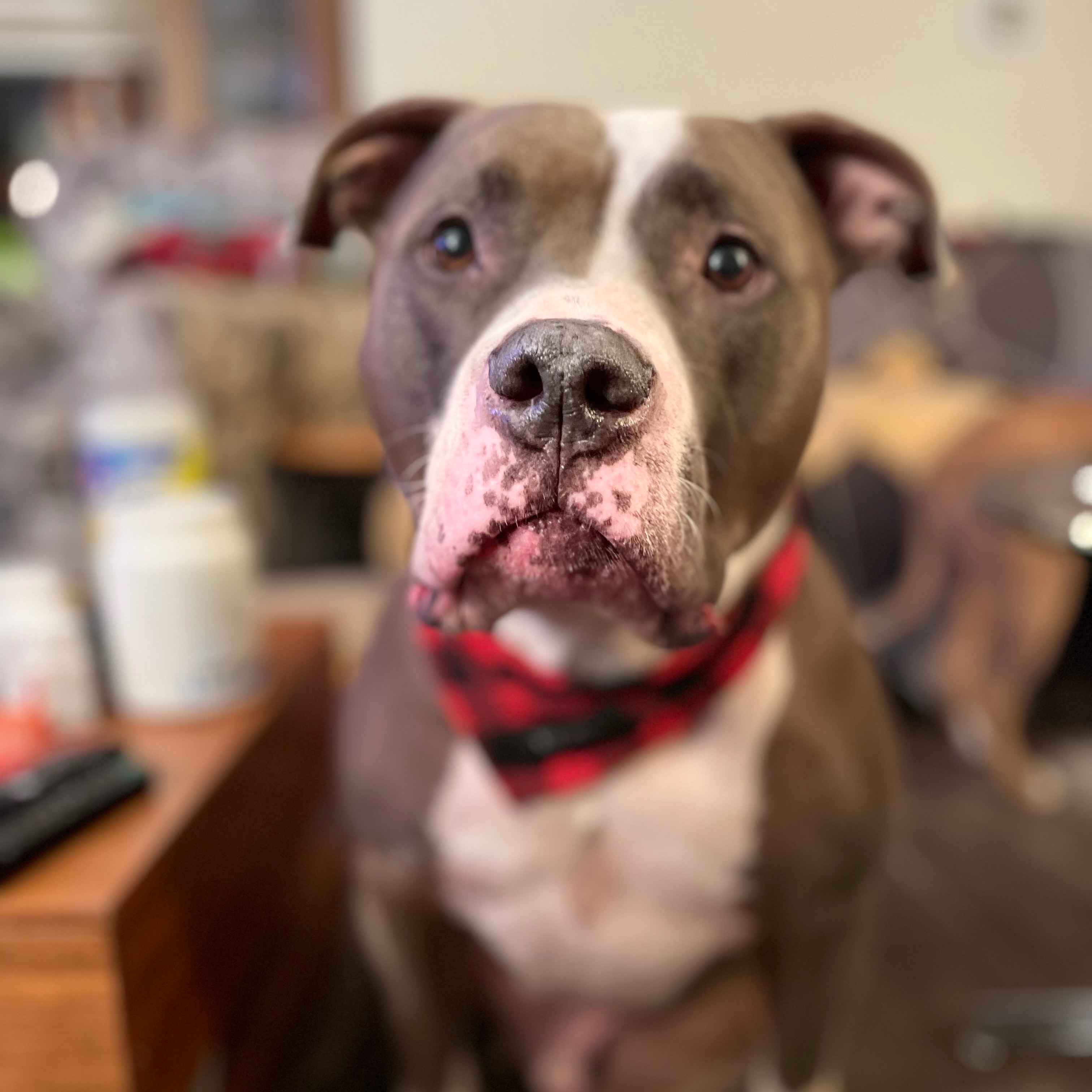 Carlos