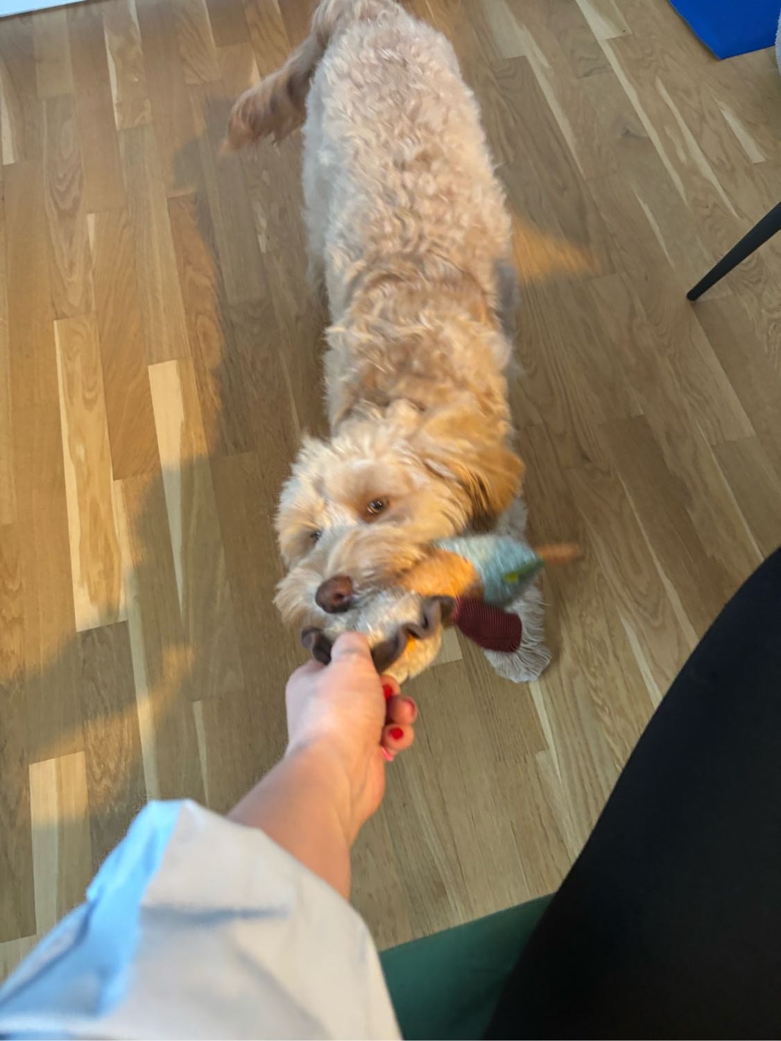 image-6