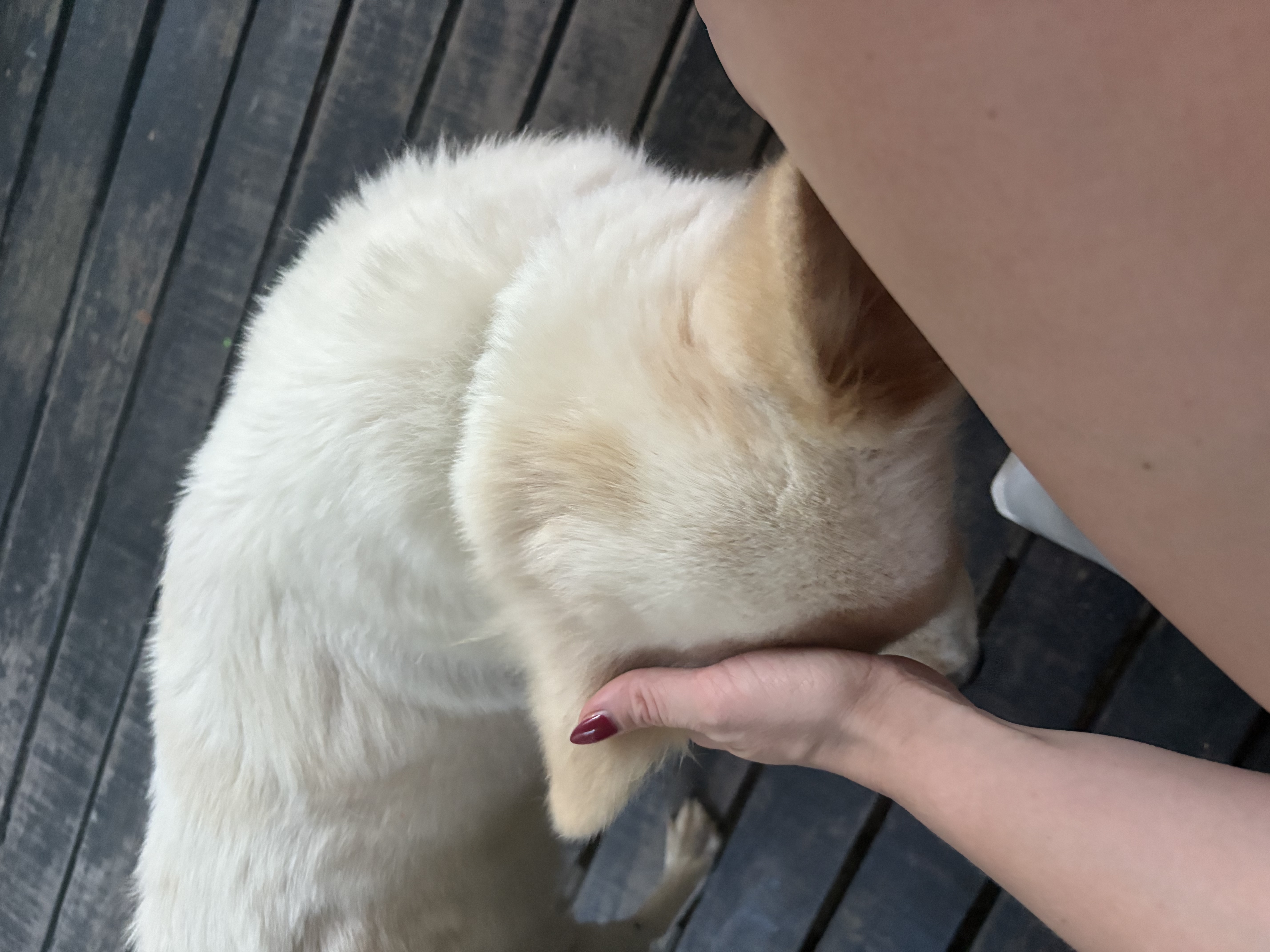 image-9
