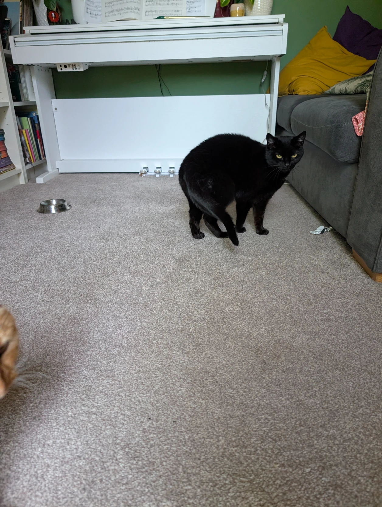 image-28