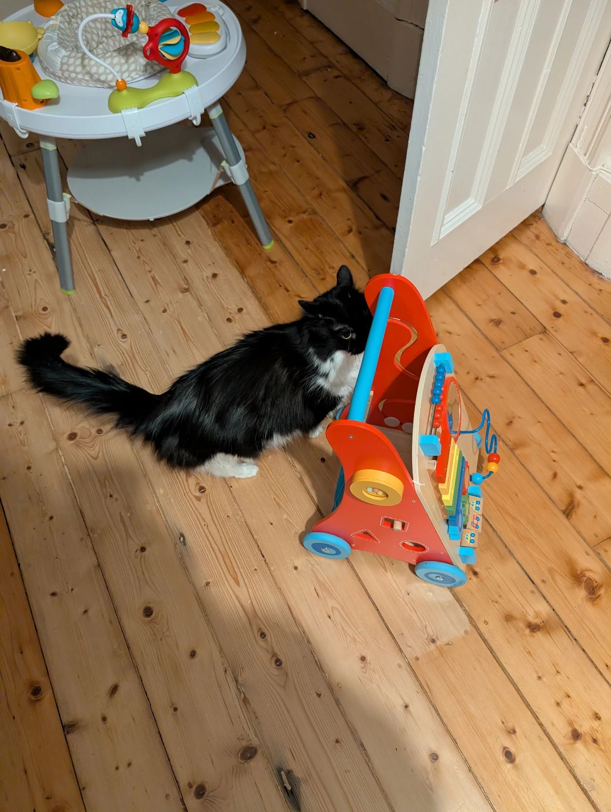 image-11