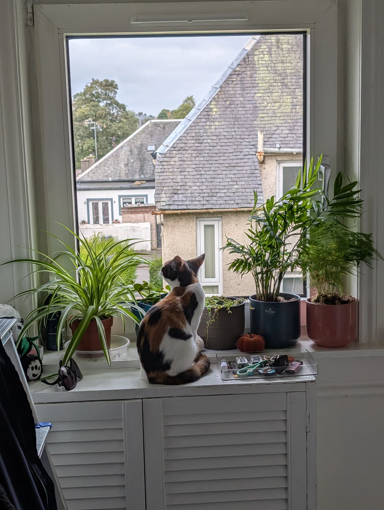 image-17