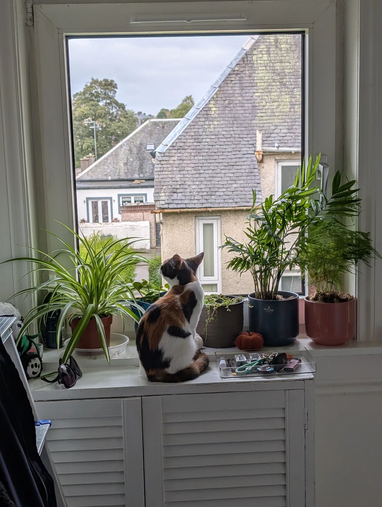 image-17
