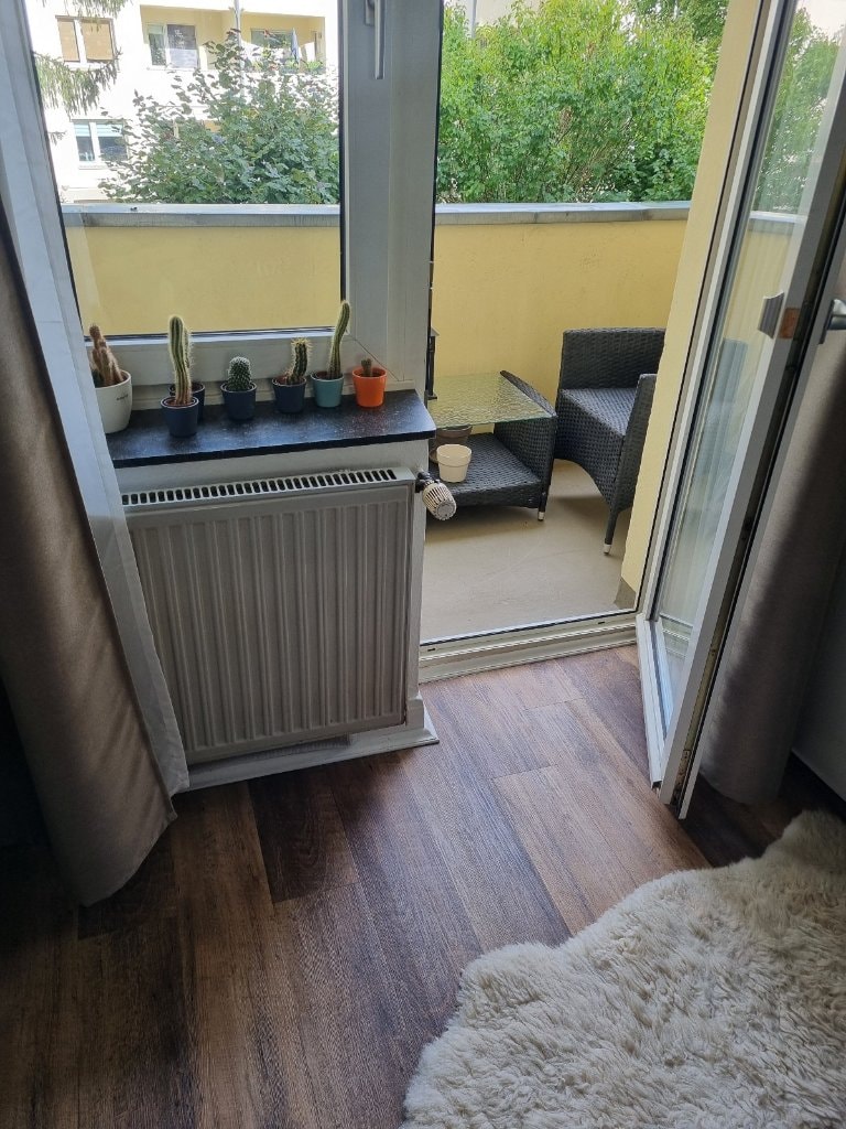 image-19