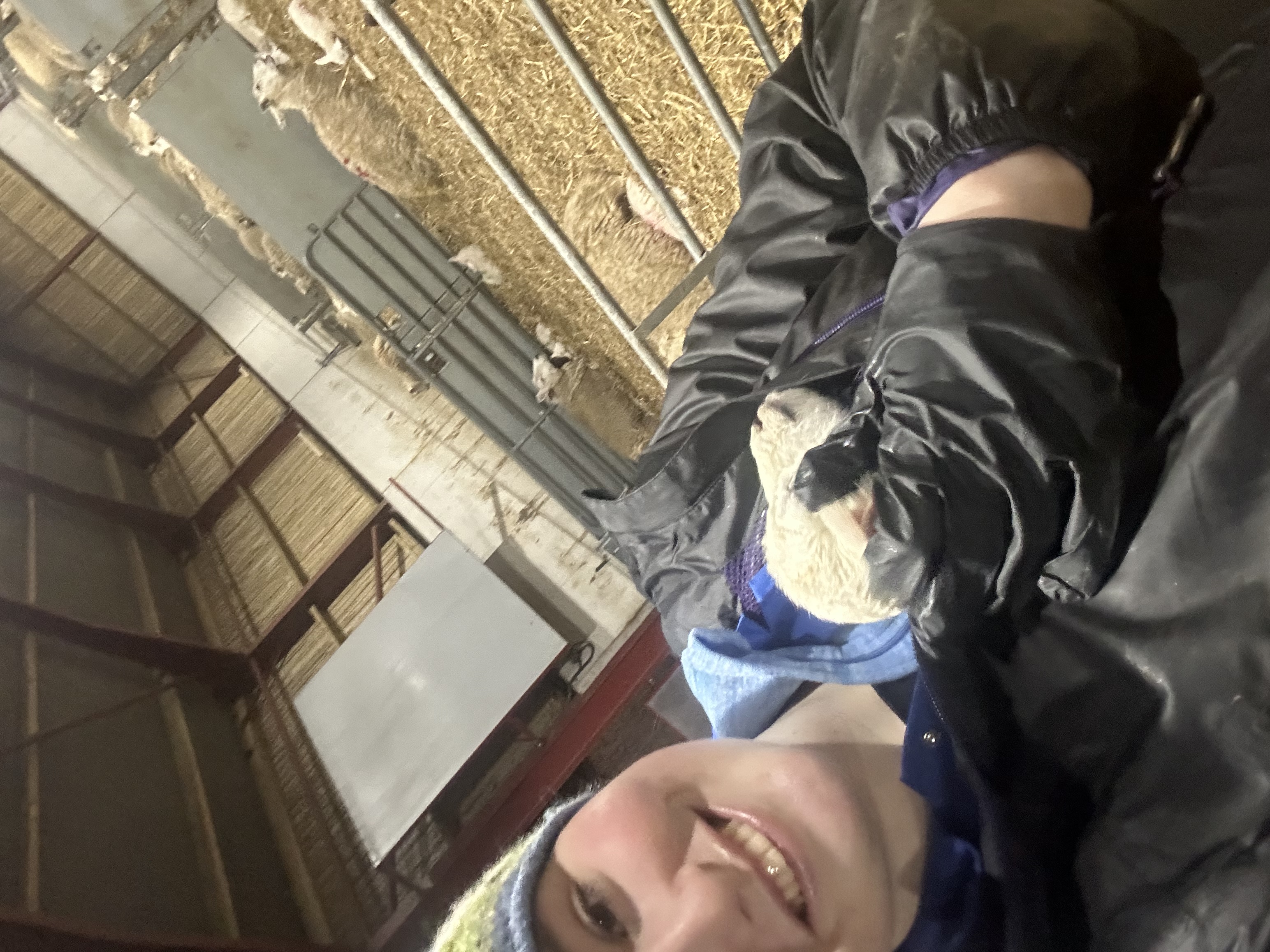 image-6