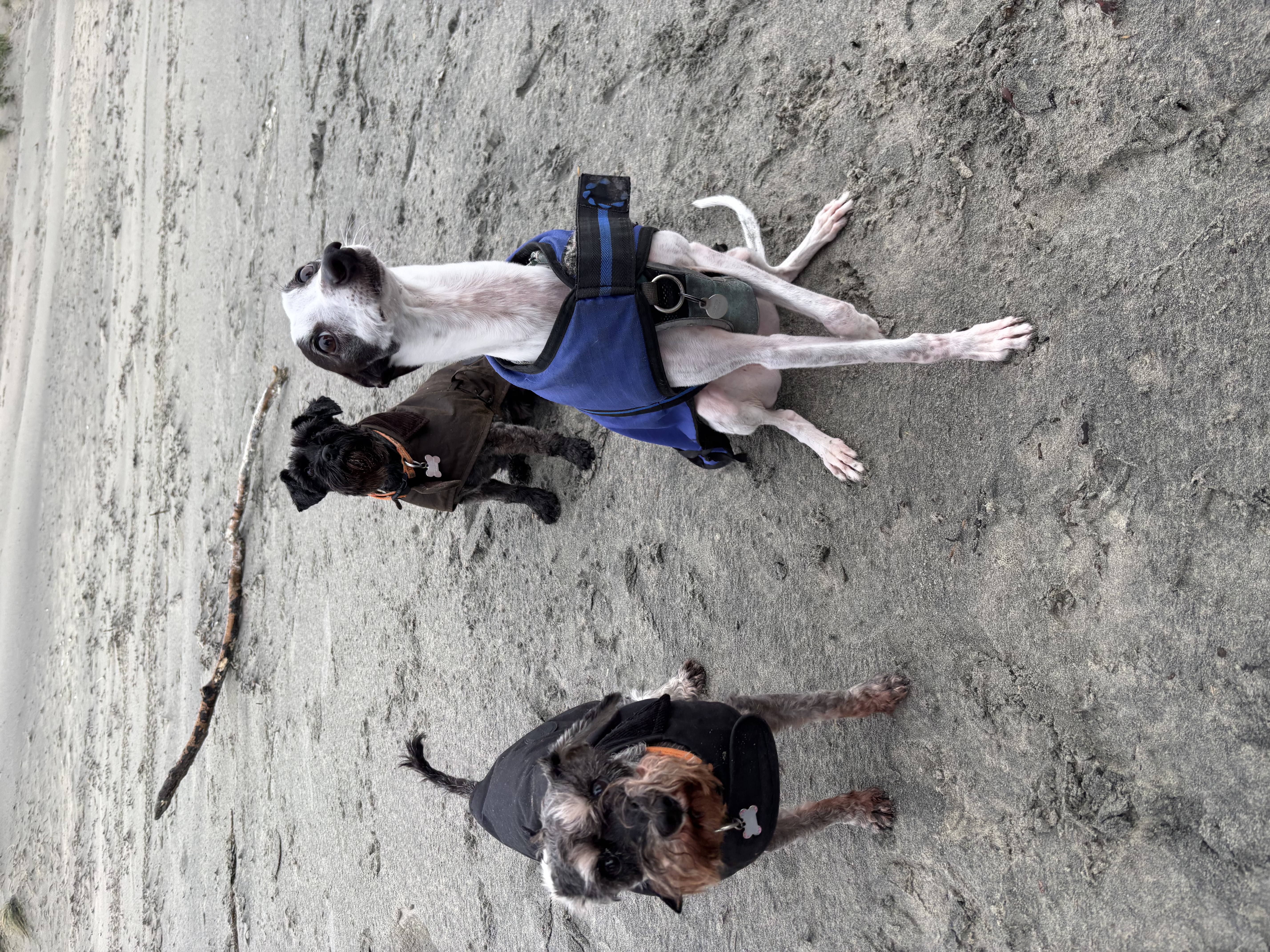 image-9