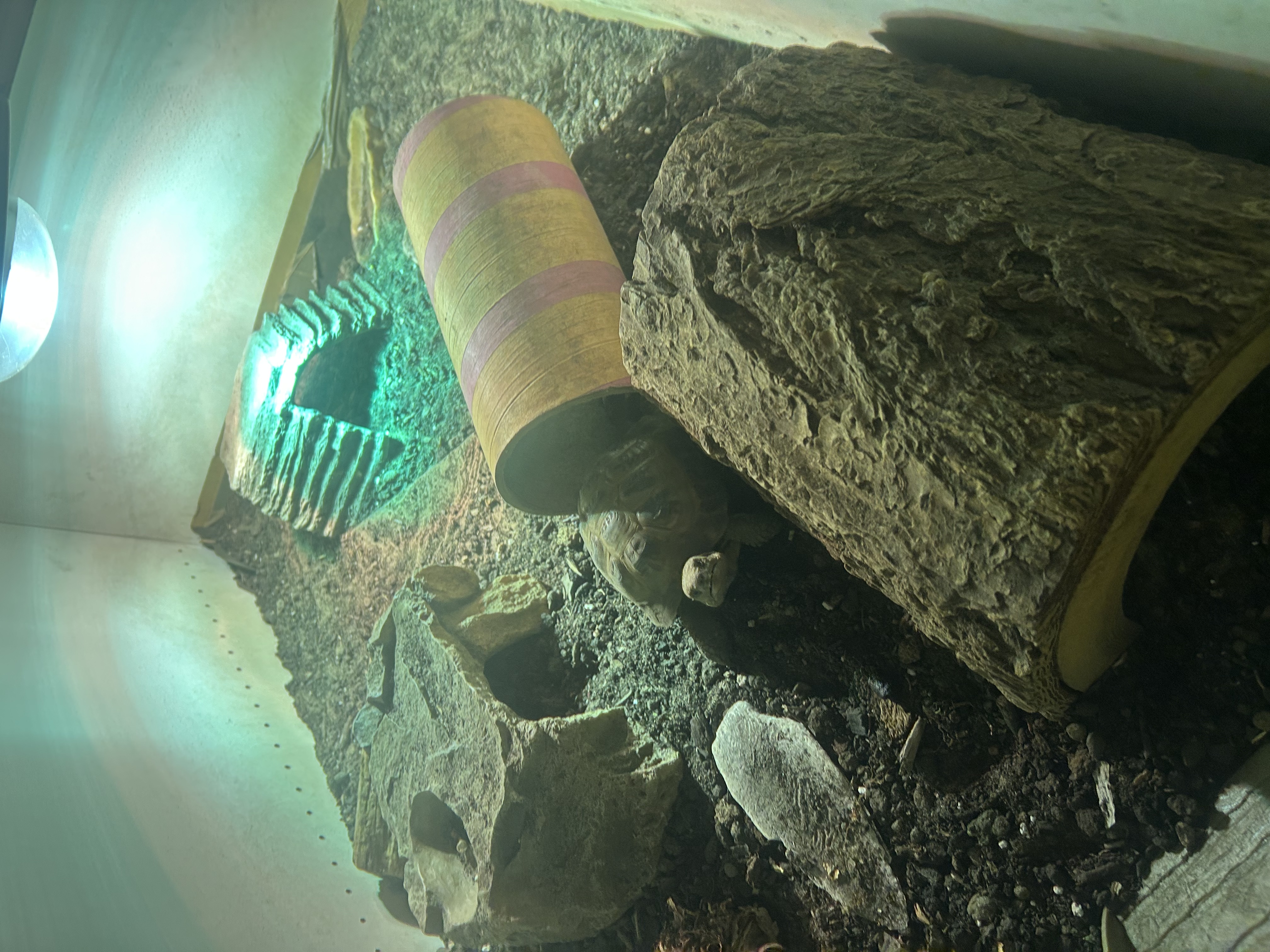 image-10