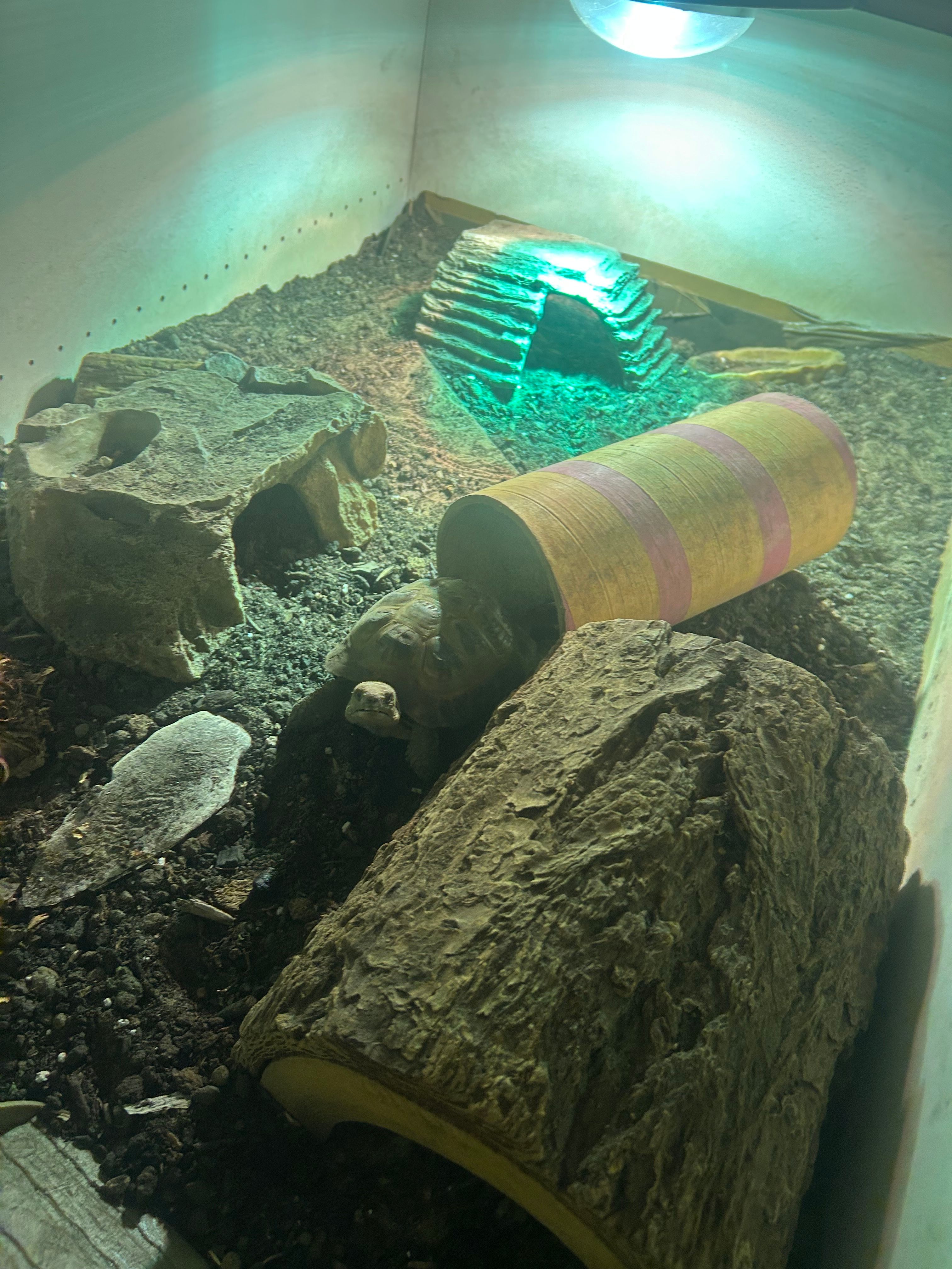 image-10