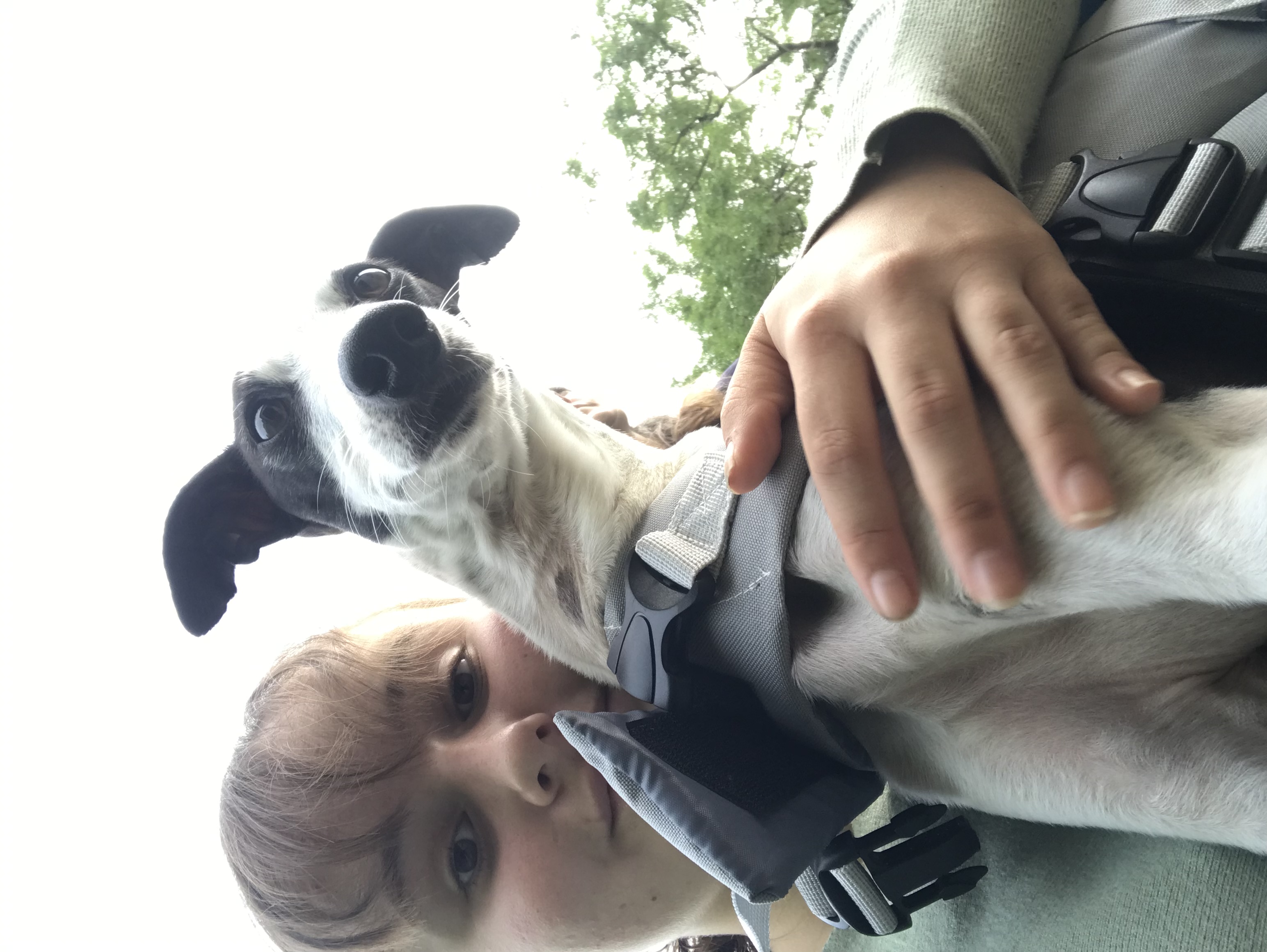 image-7