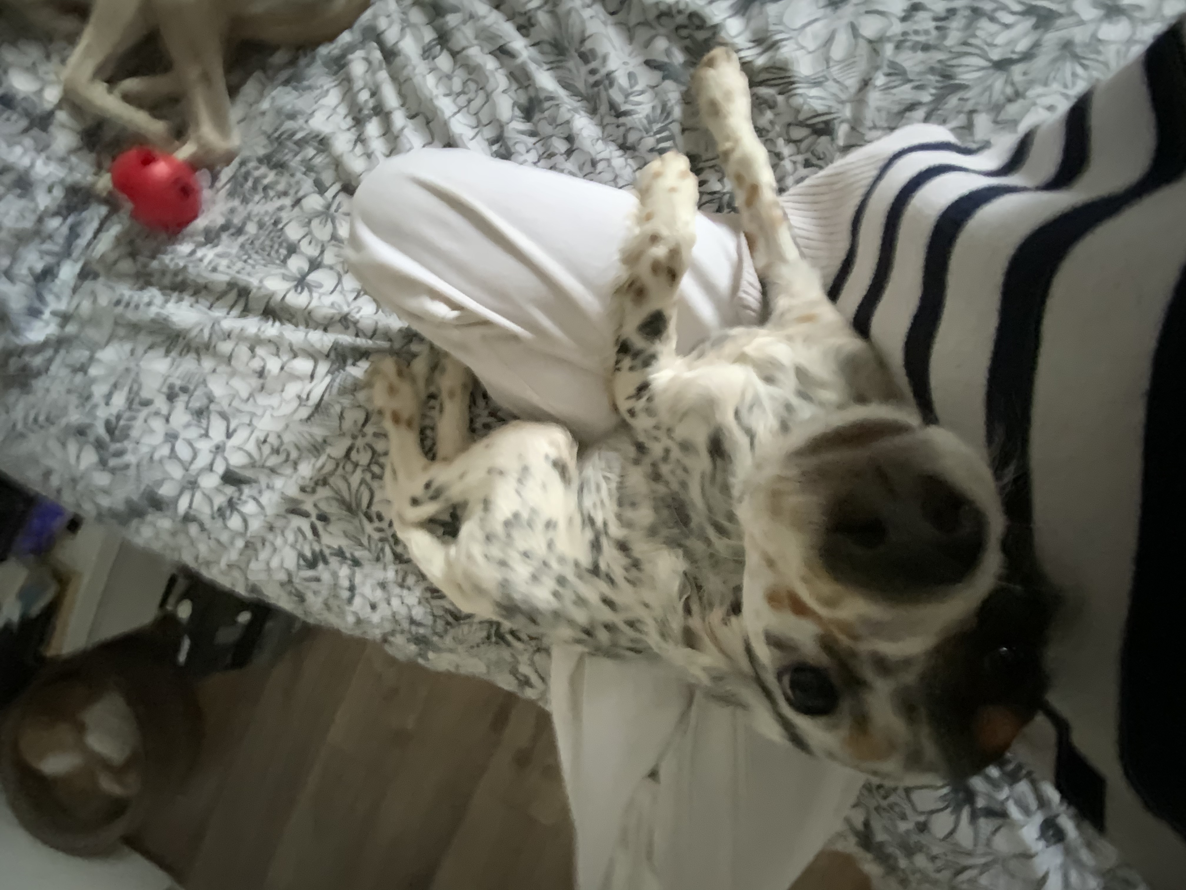 image-9