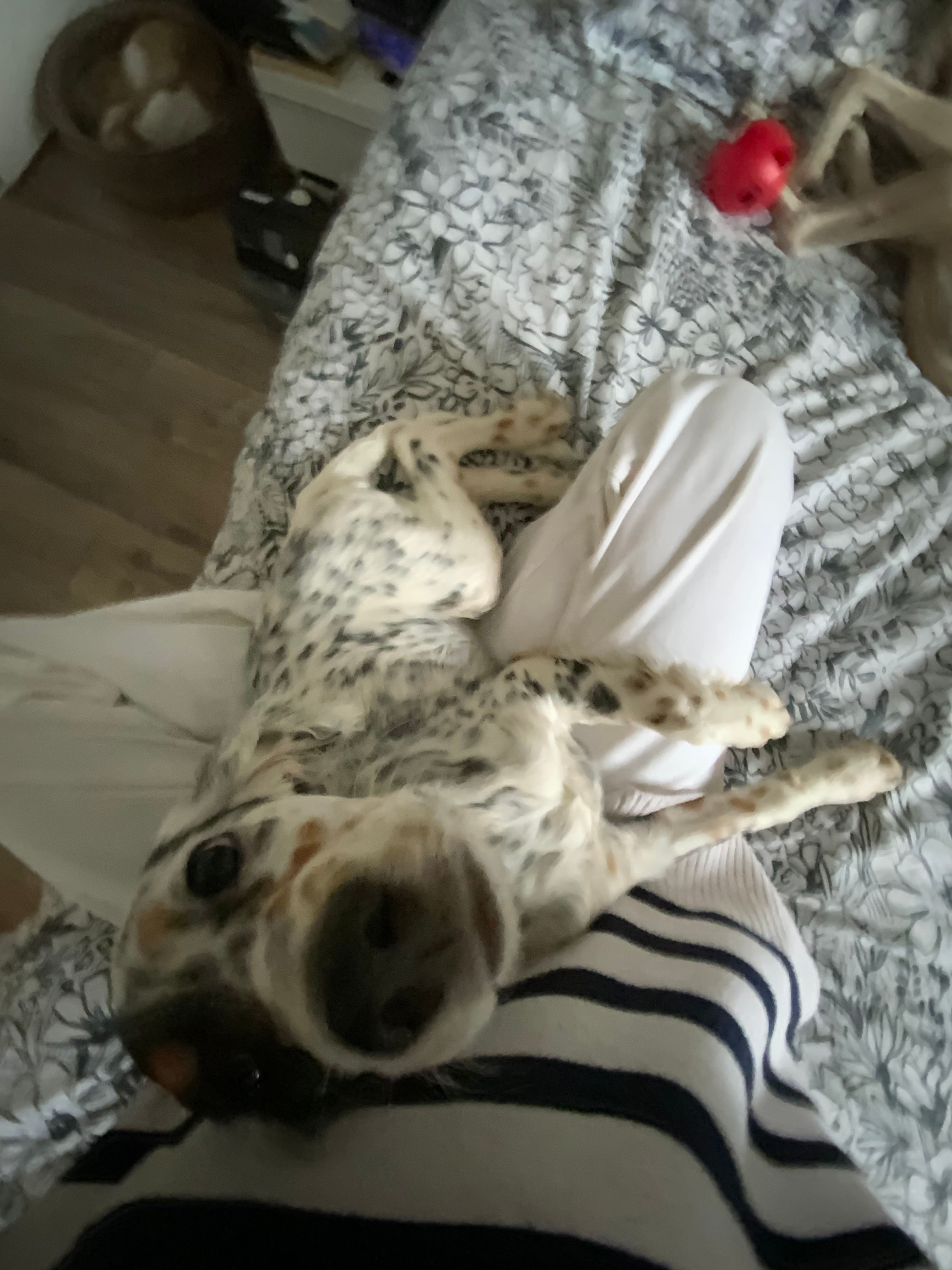 image-9