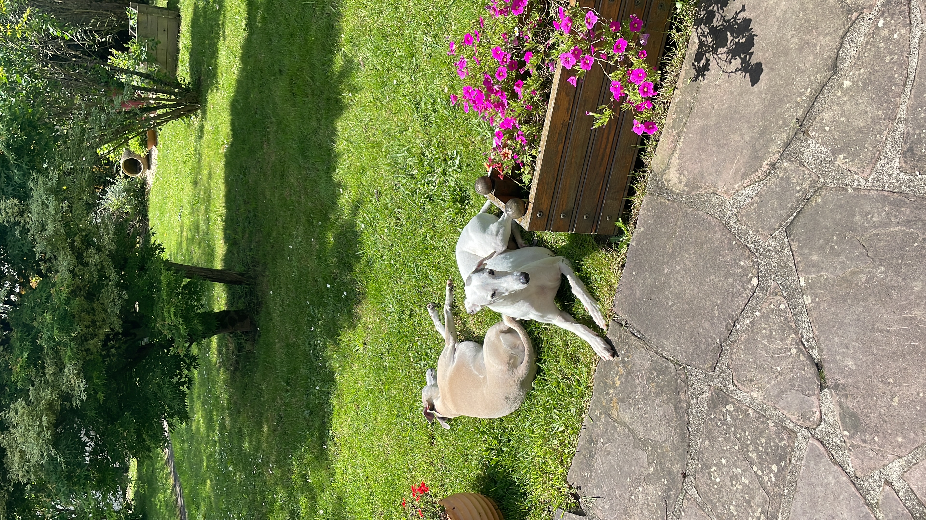 image-16