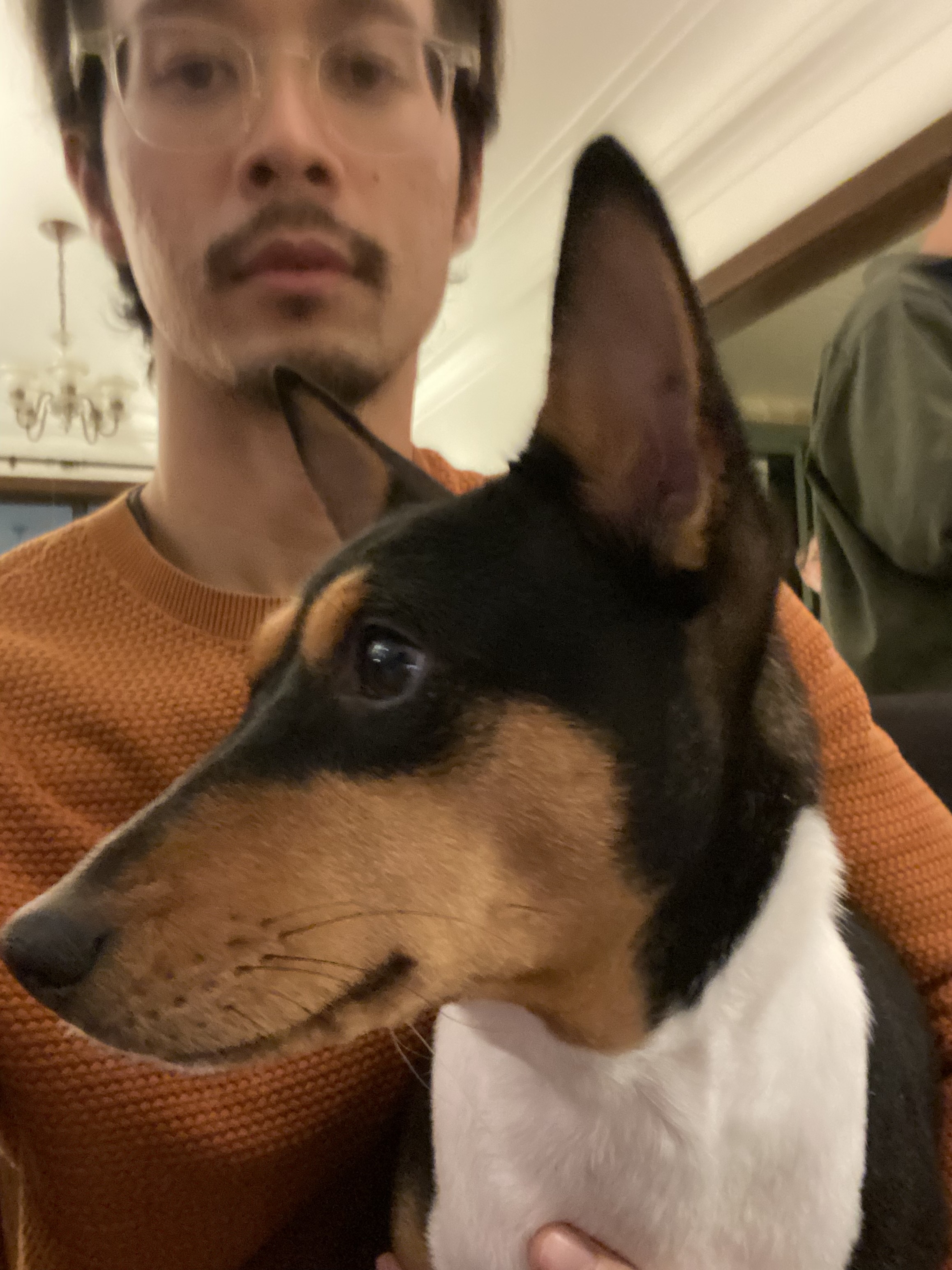 image-10
