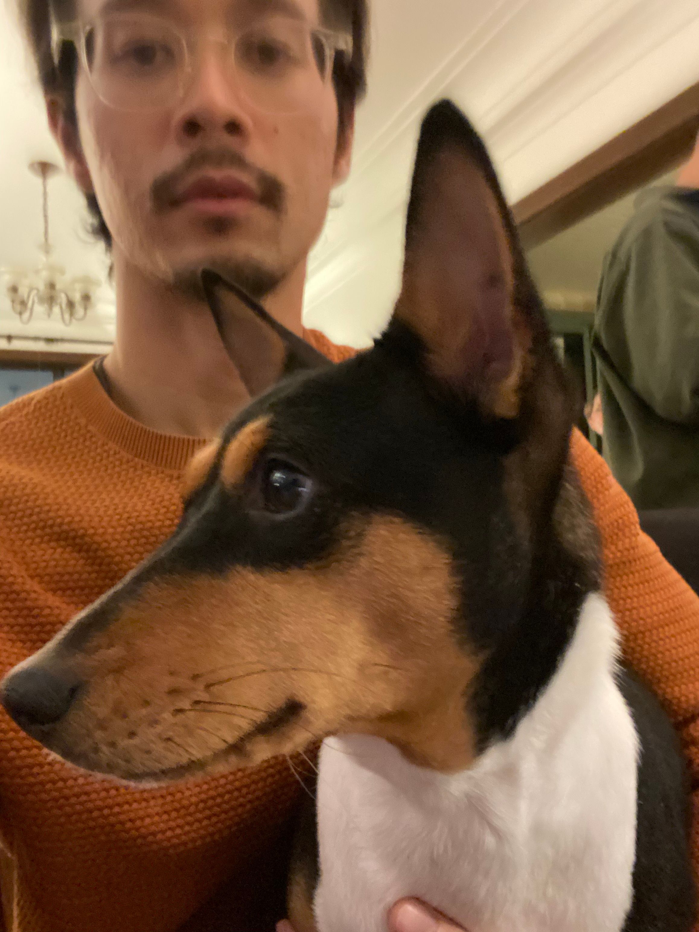 image-10