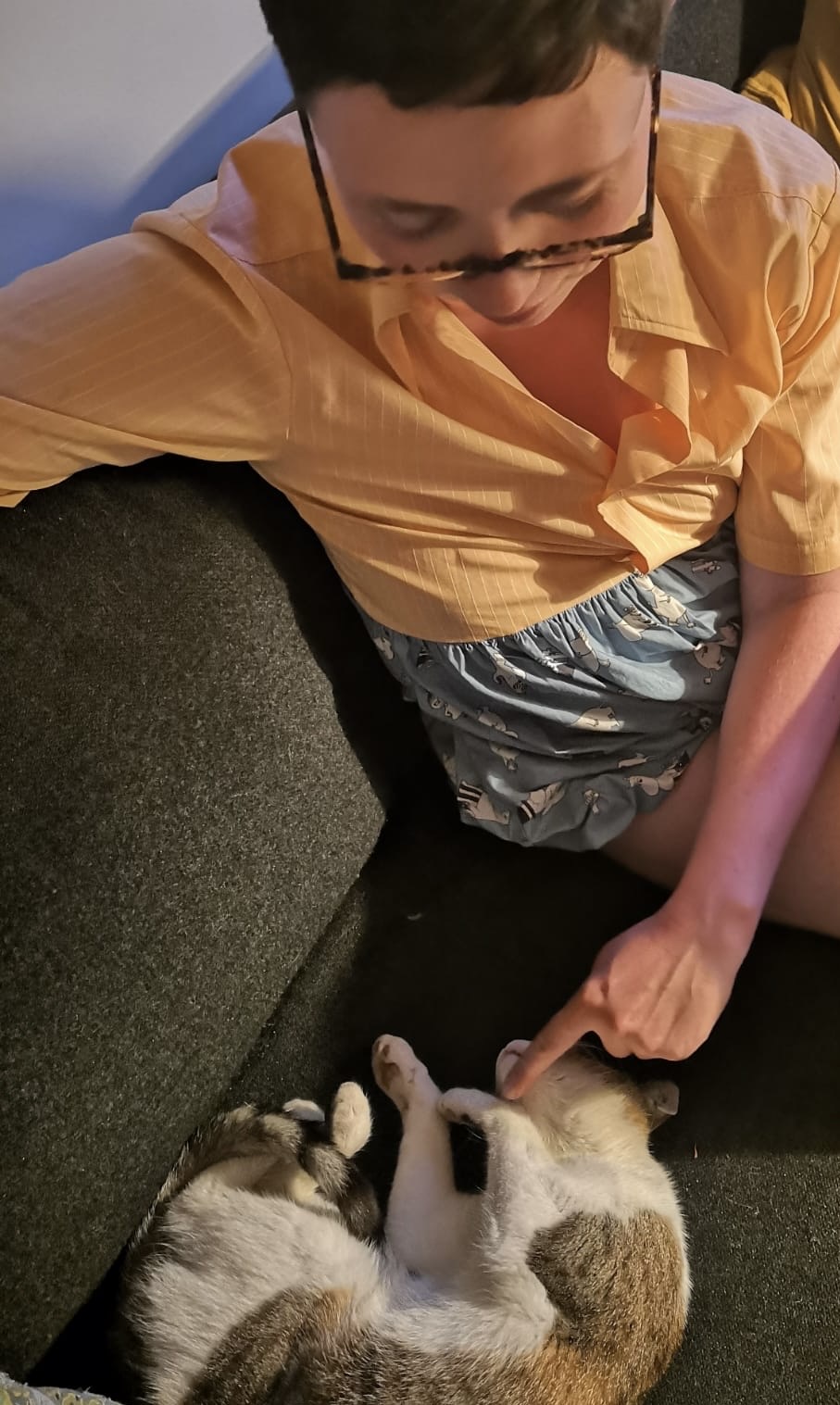 image-7