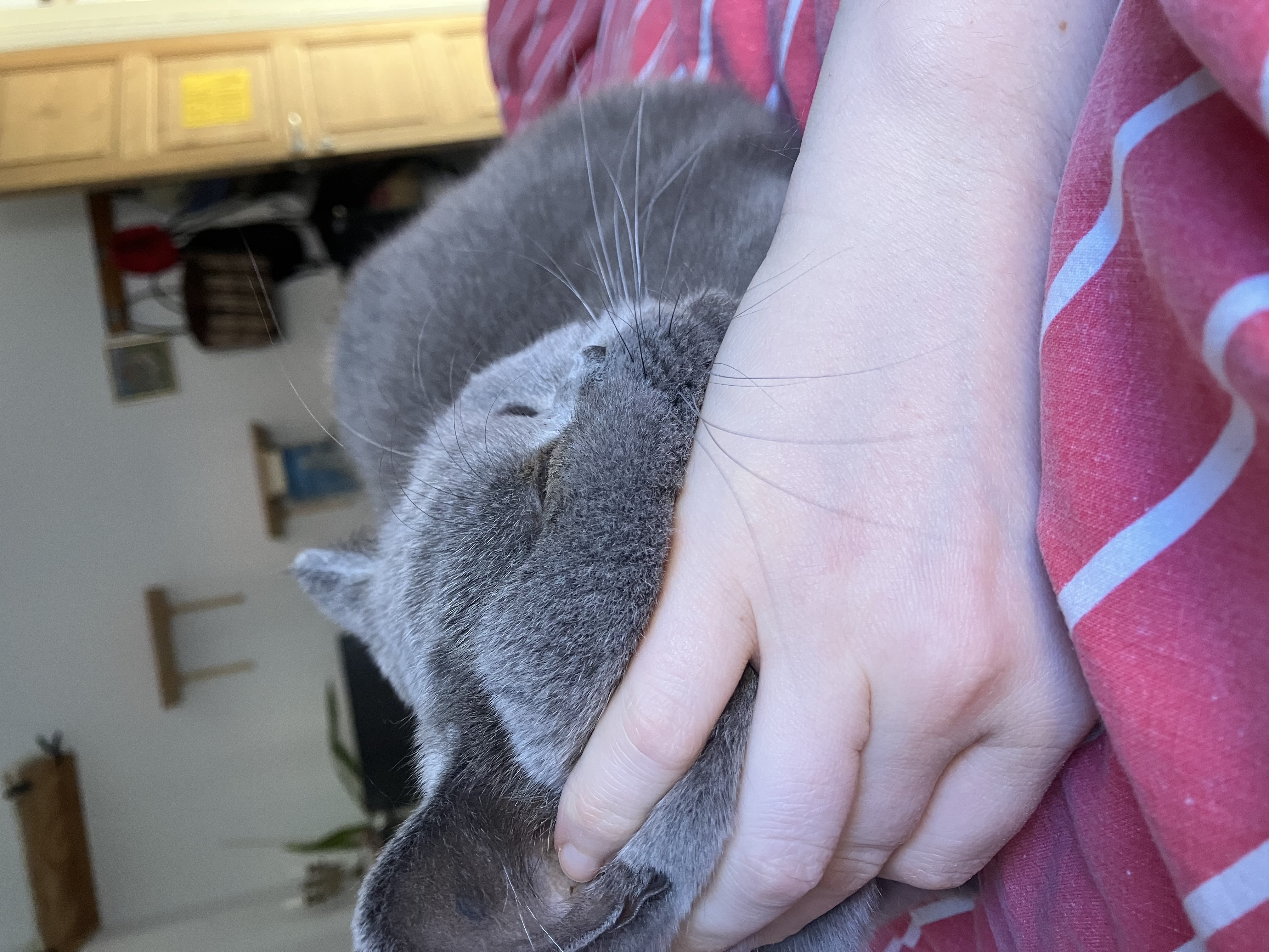 image-5