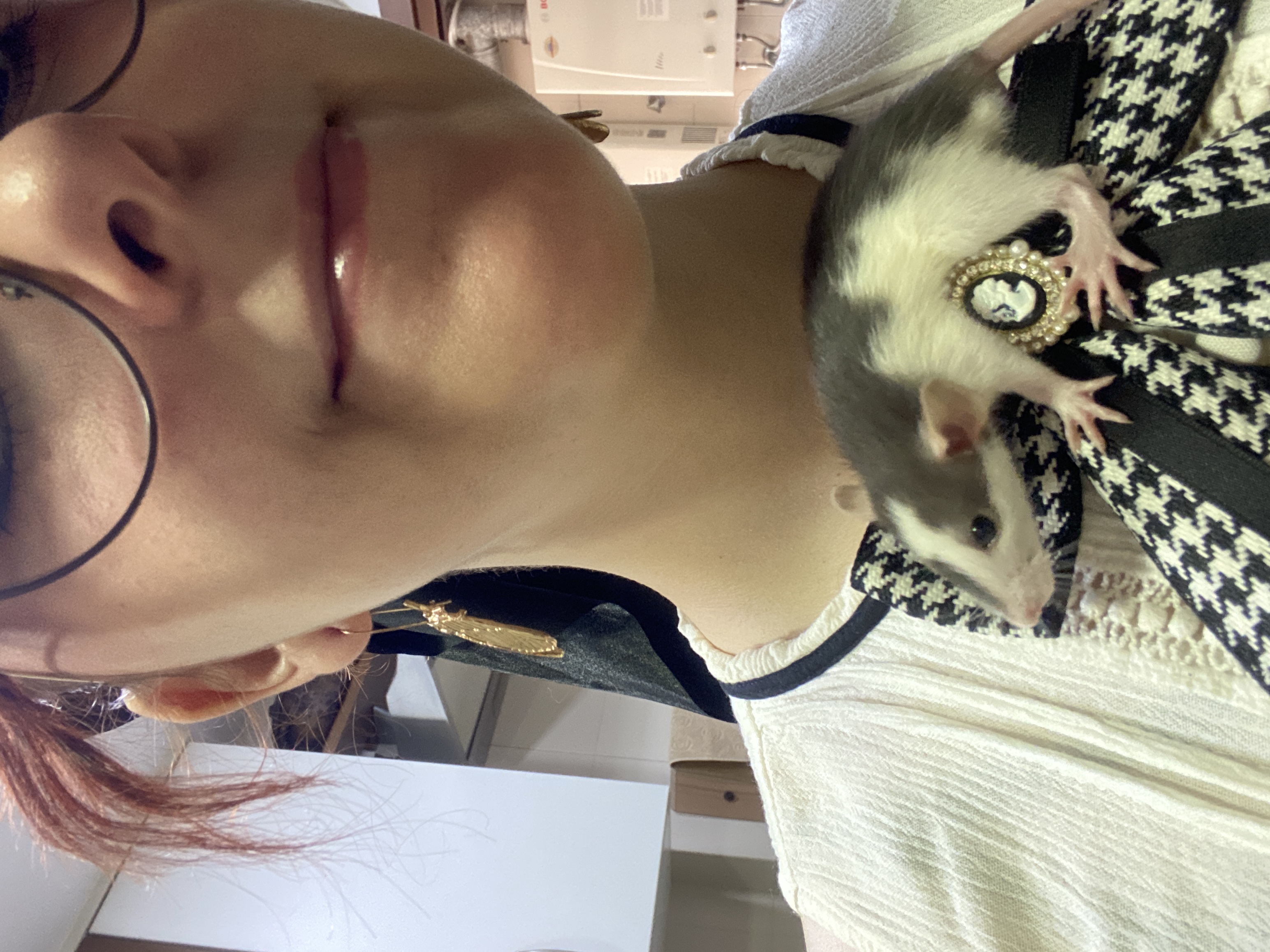 image-7