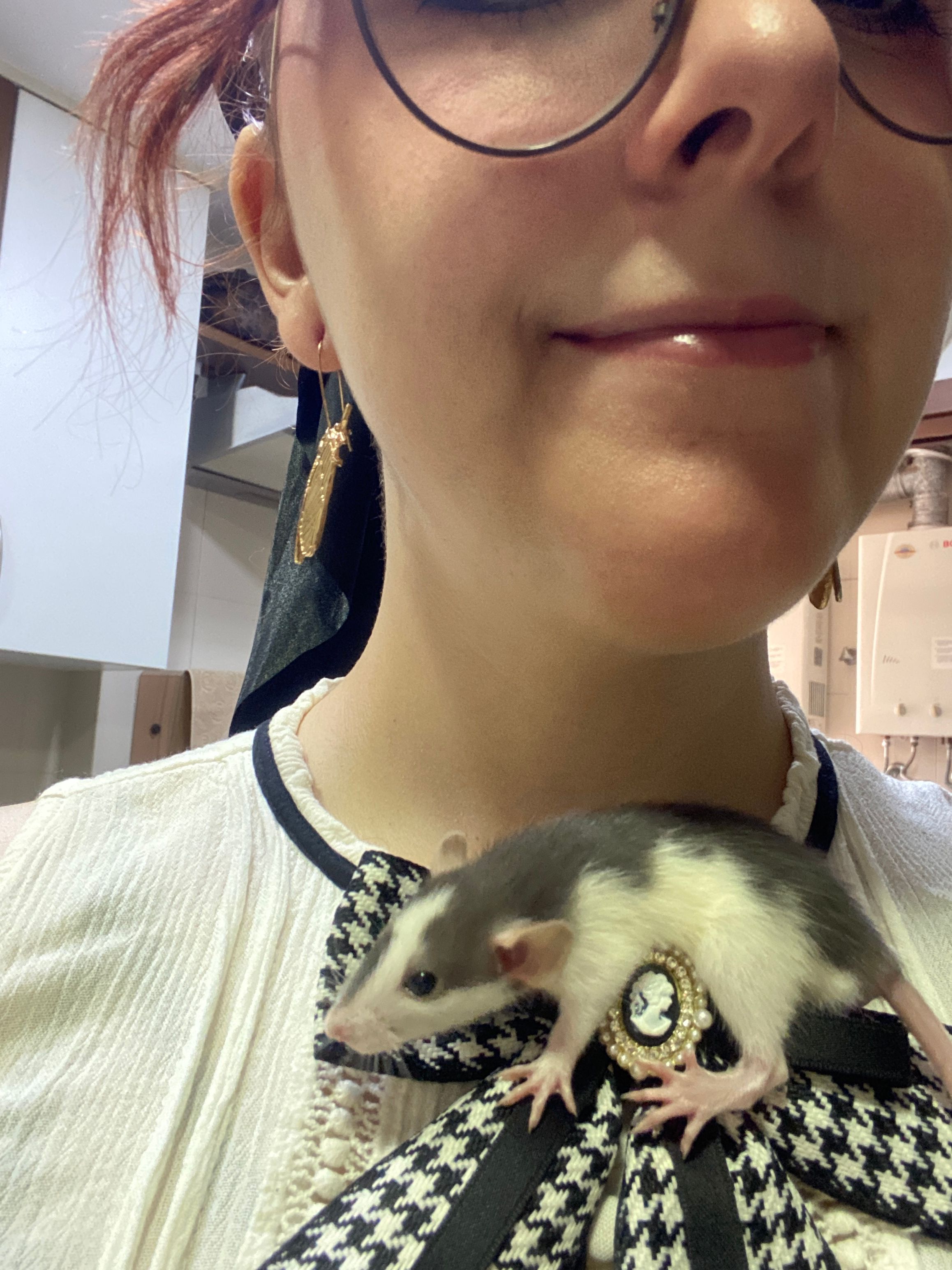 image-7
