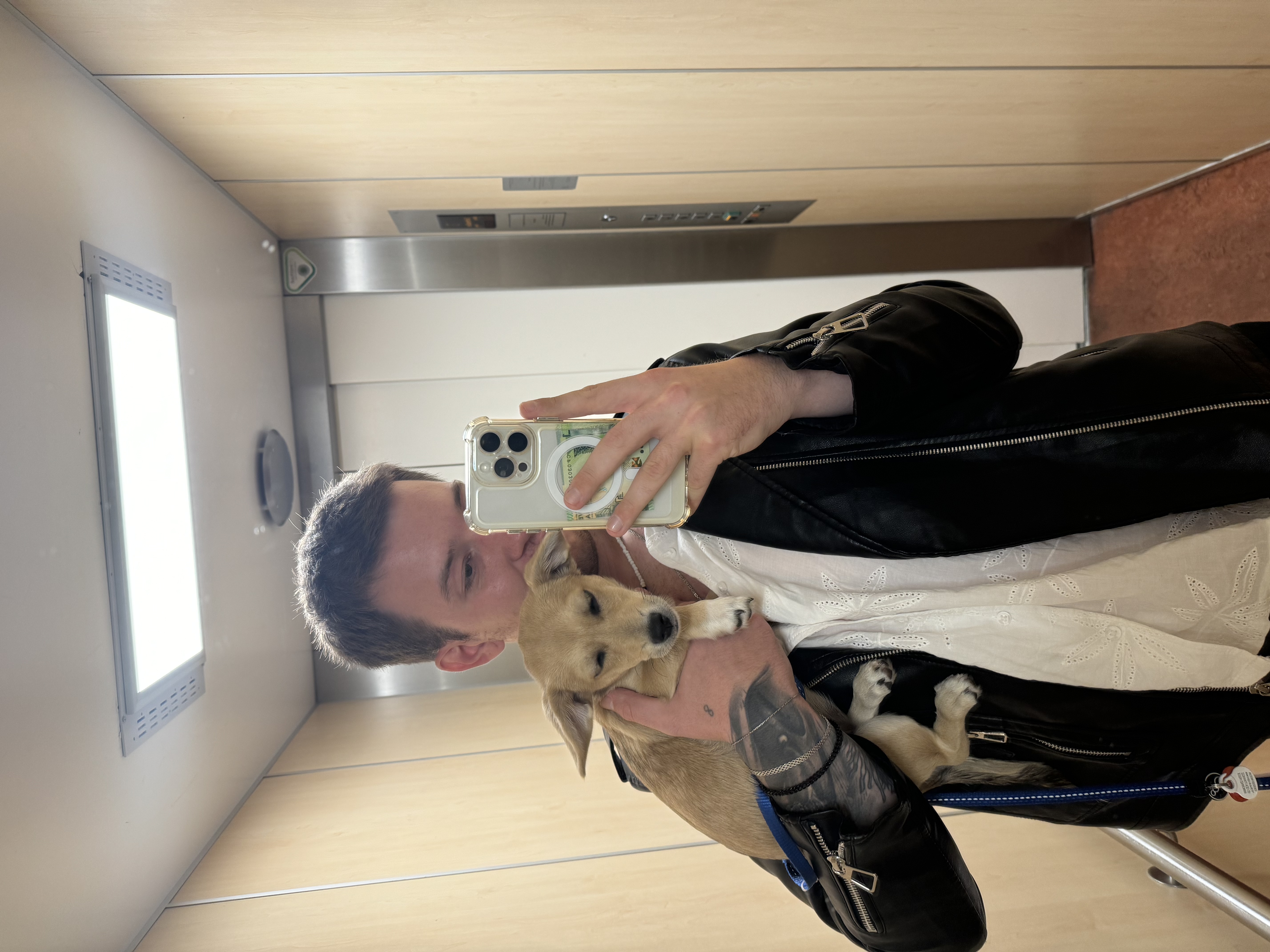 image-7