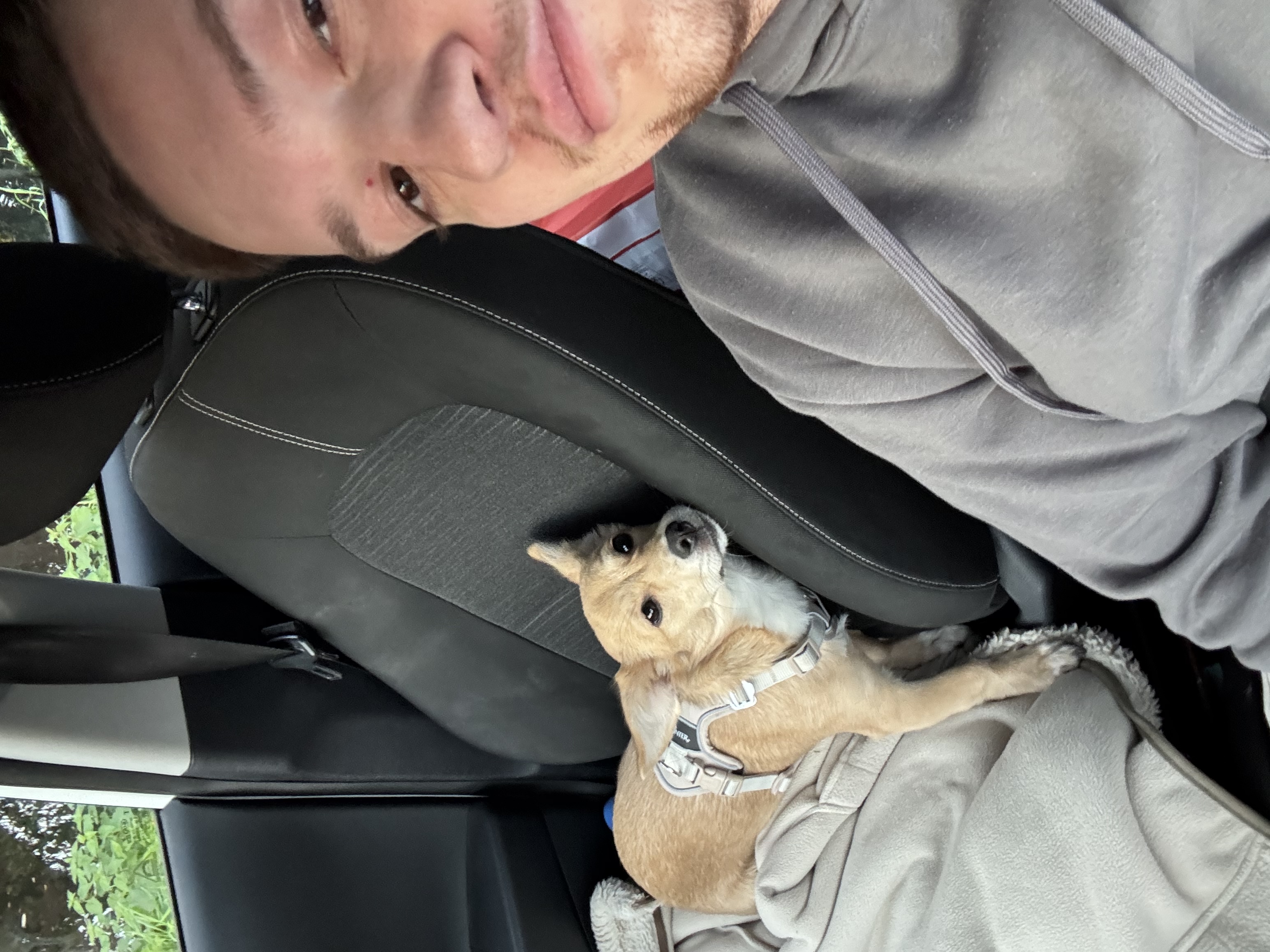 image-6