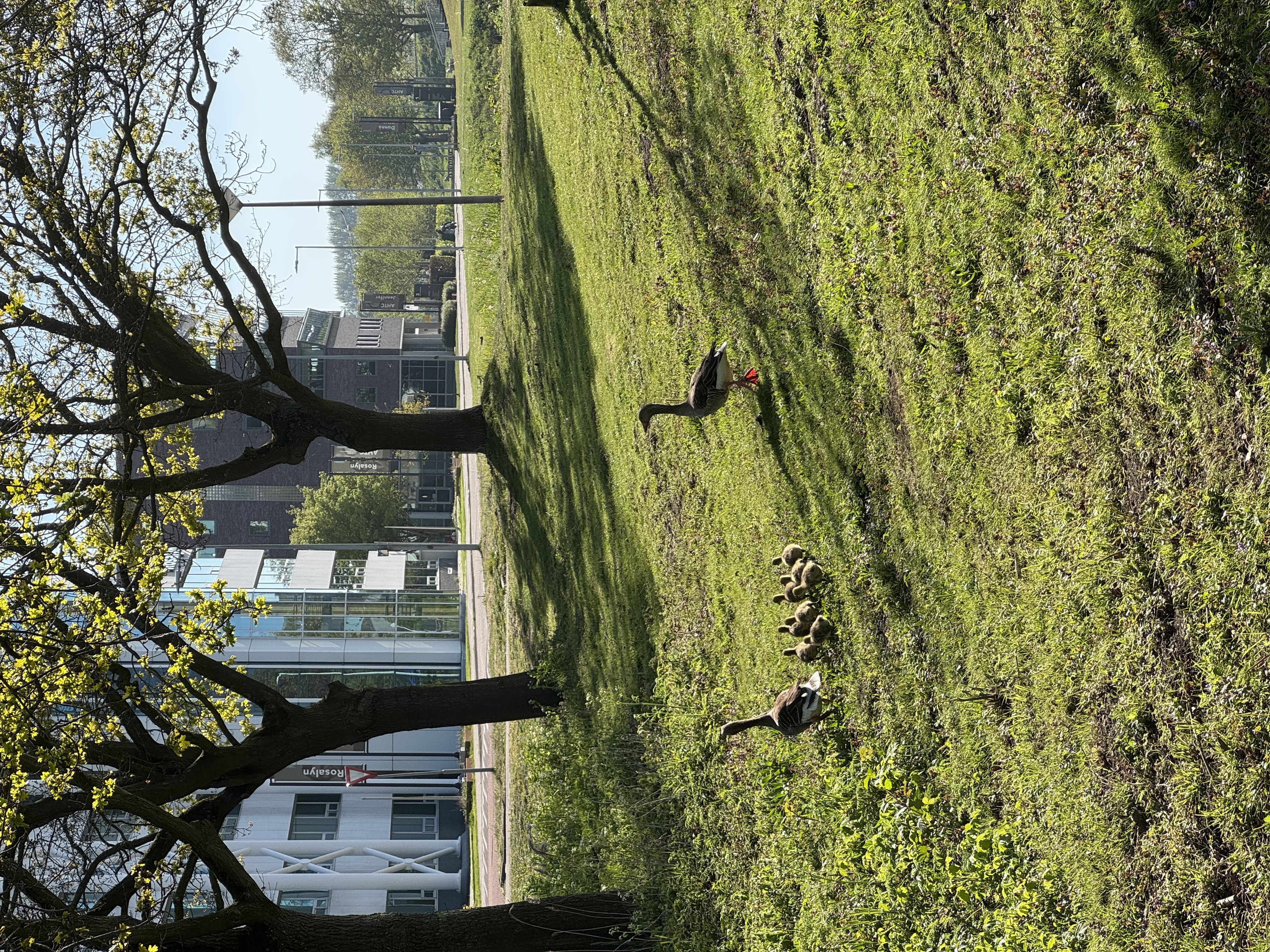 image-17